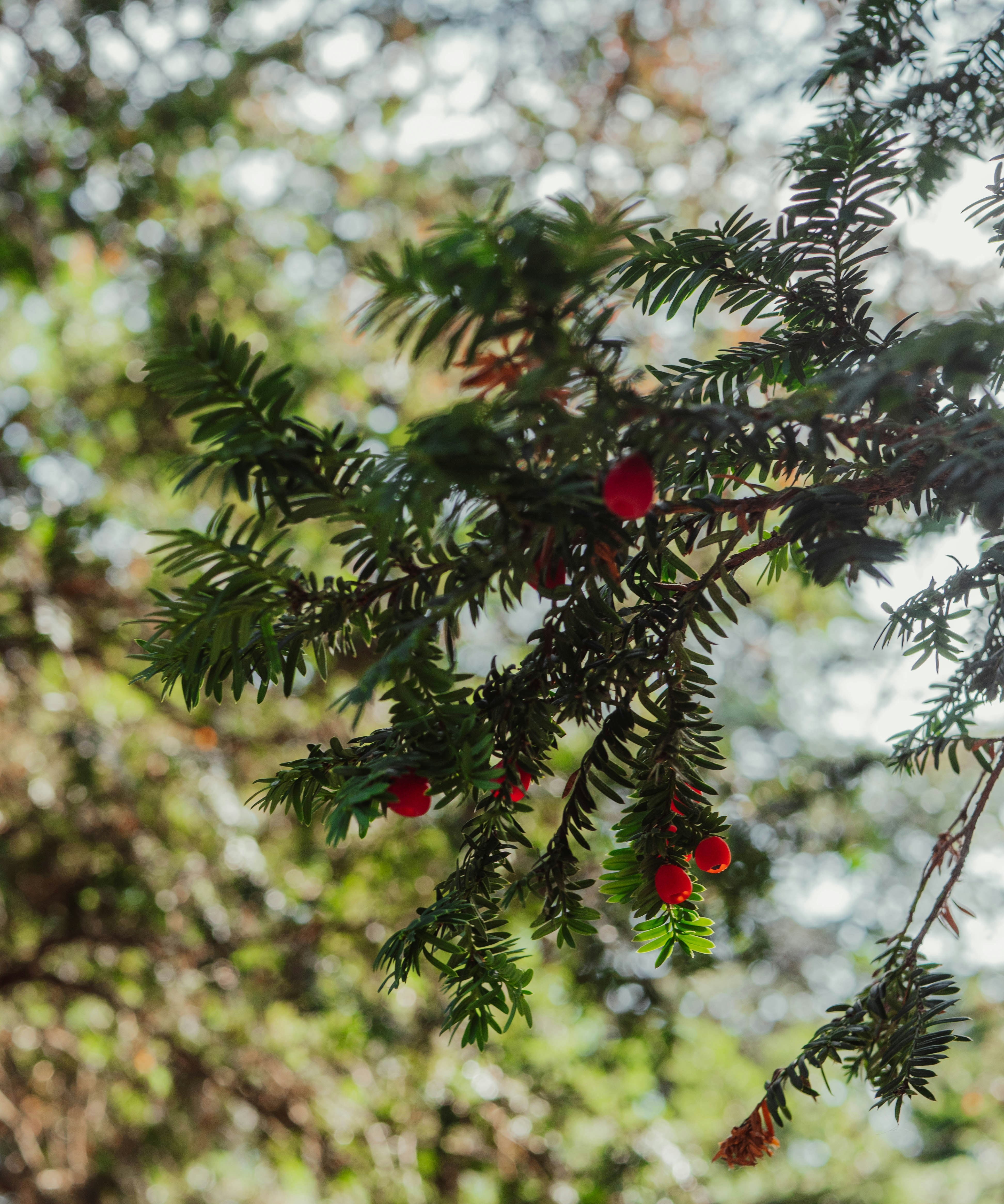 Photo by belhaiza_amine5