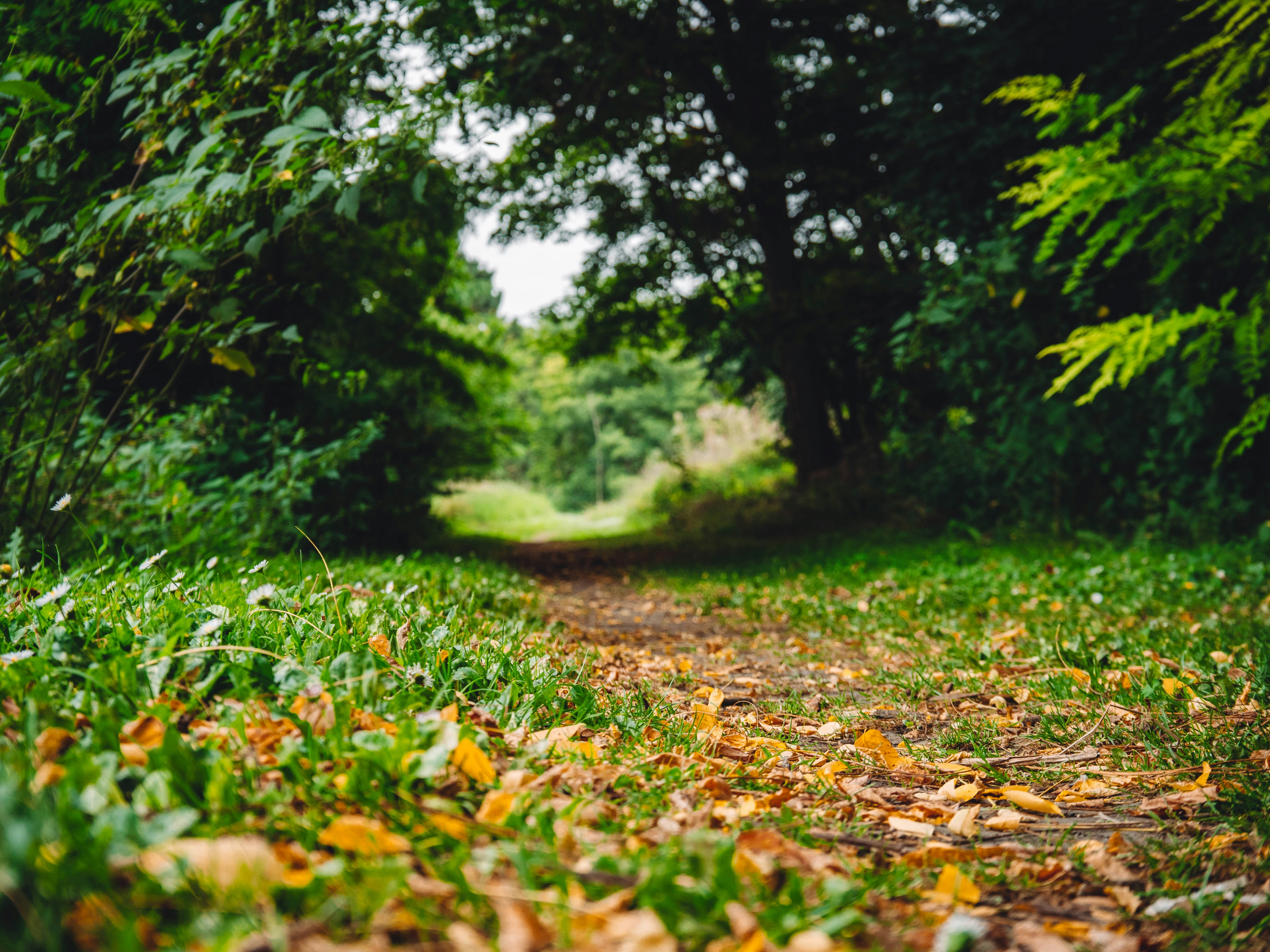 Photo by belhaiza_amine5