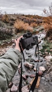 A person holds a digital camera showcasing a scenic view of a rocky stream surrounded by autumn foliage under a cloudy sky. The scene captures a serene outdoor setting with a blend of natural elements.