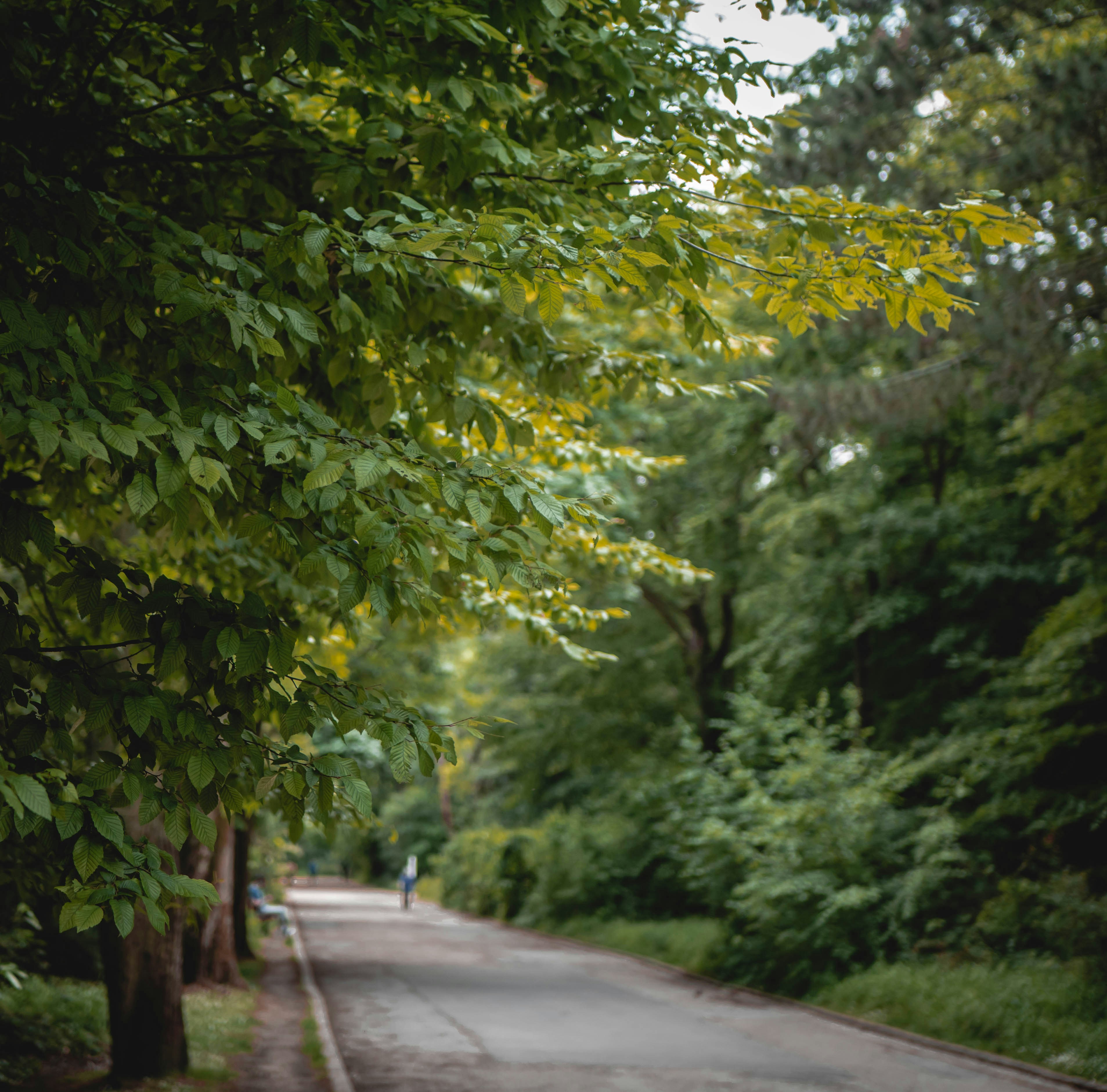 Photo by belhaiza_amine5