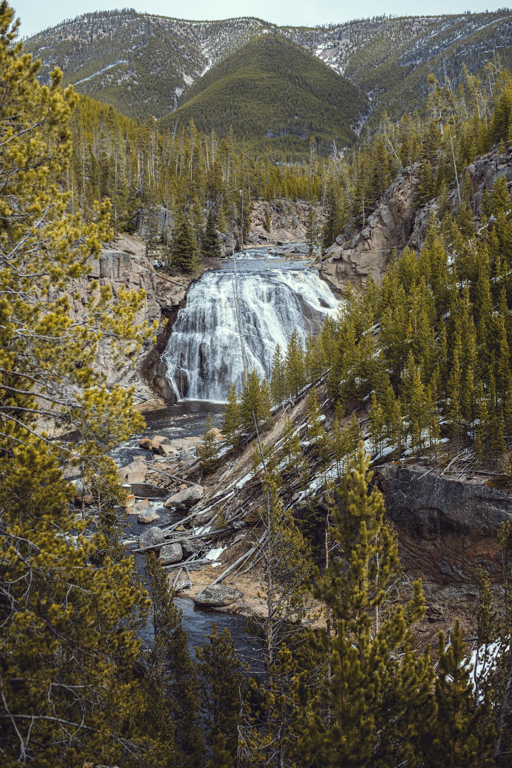 a waterfall in the middle of a forest