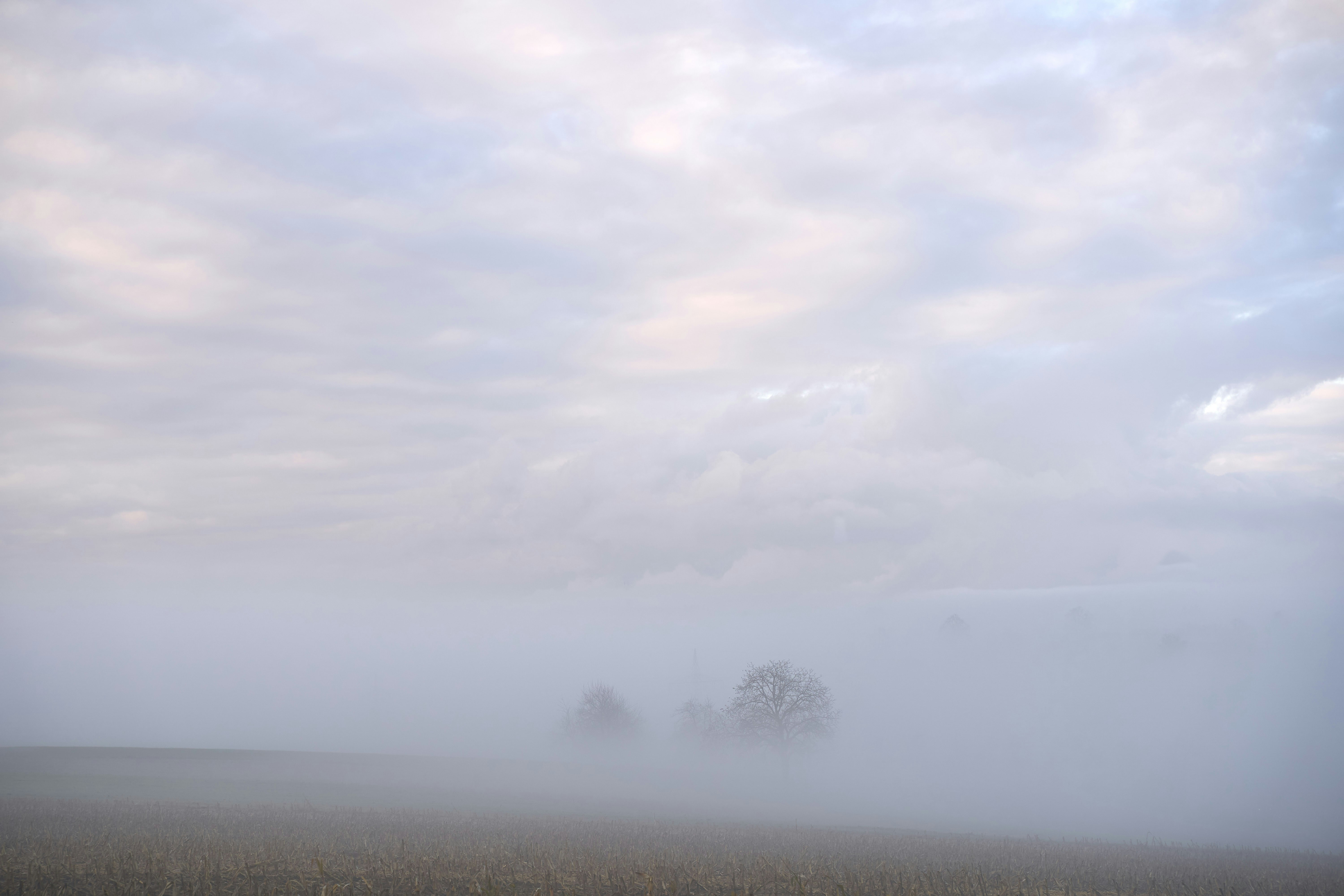 Photo by wolfgang_hasselmann