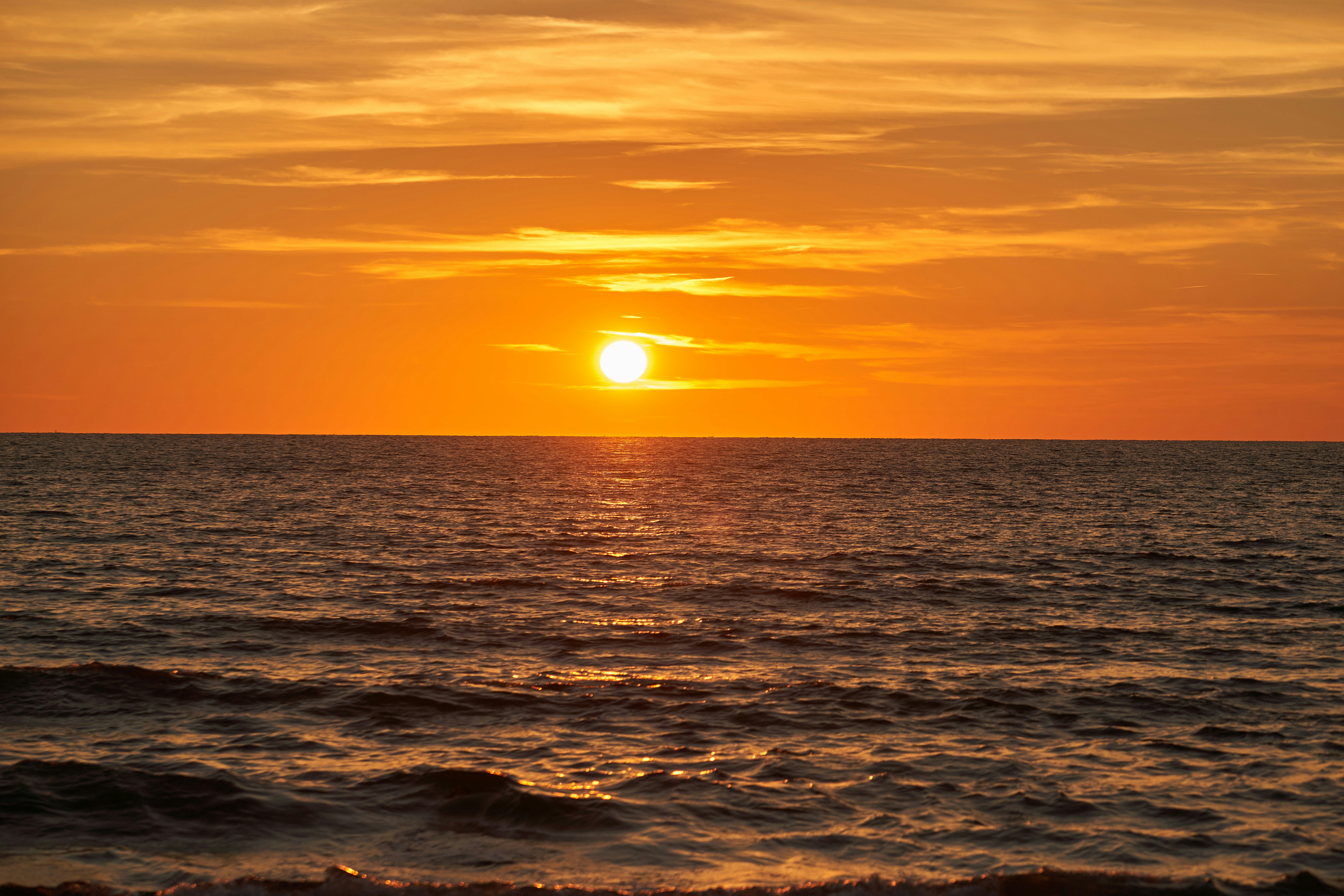 Photo by wolfgang_hasselmann