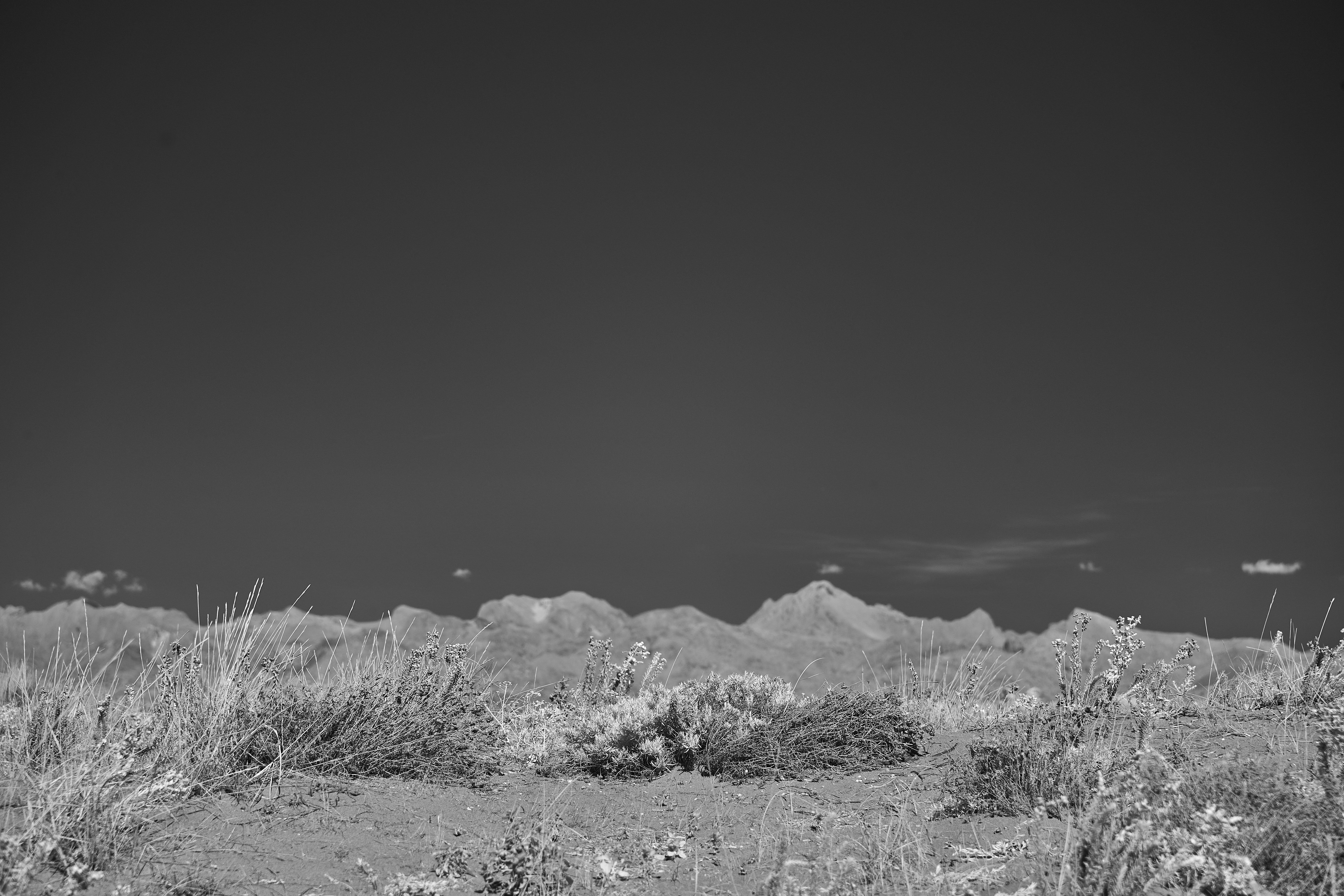 Photo by wolfgang_hasselmann