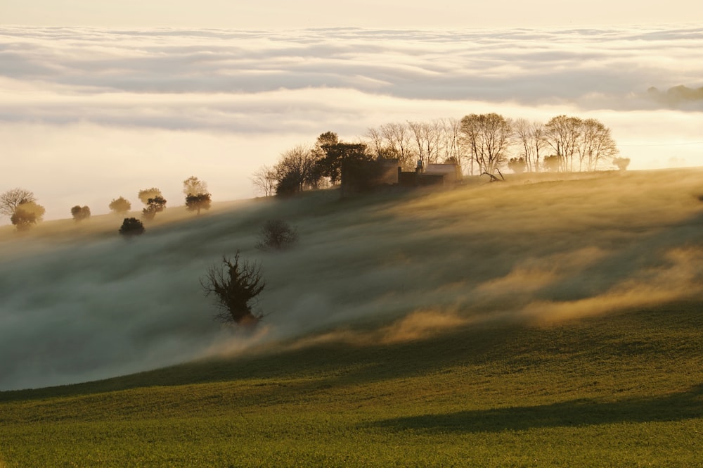 a hill covered in fog with trees in the distance