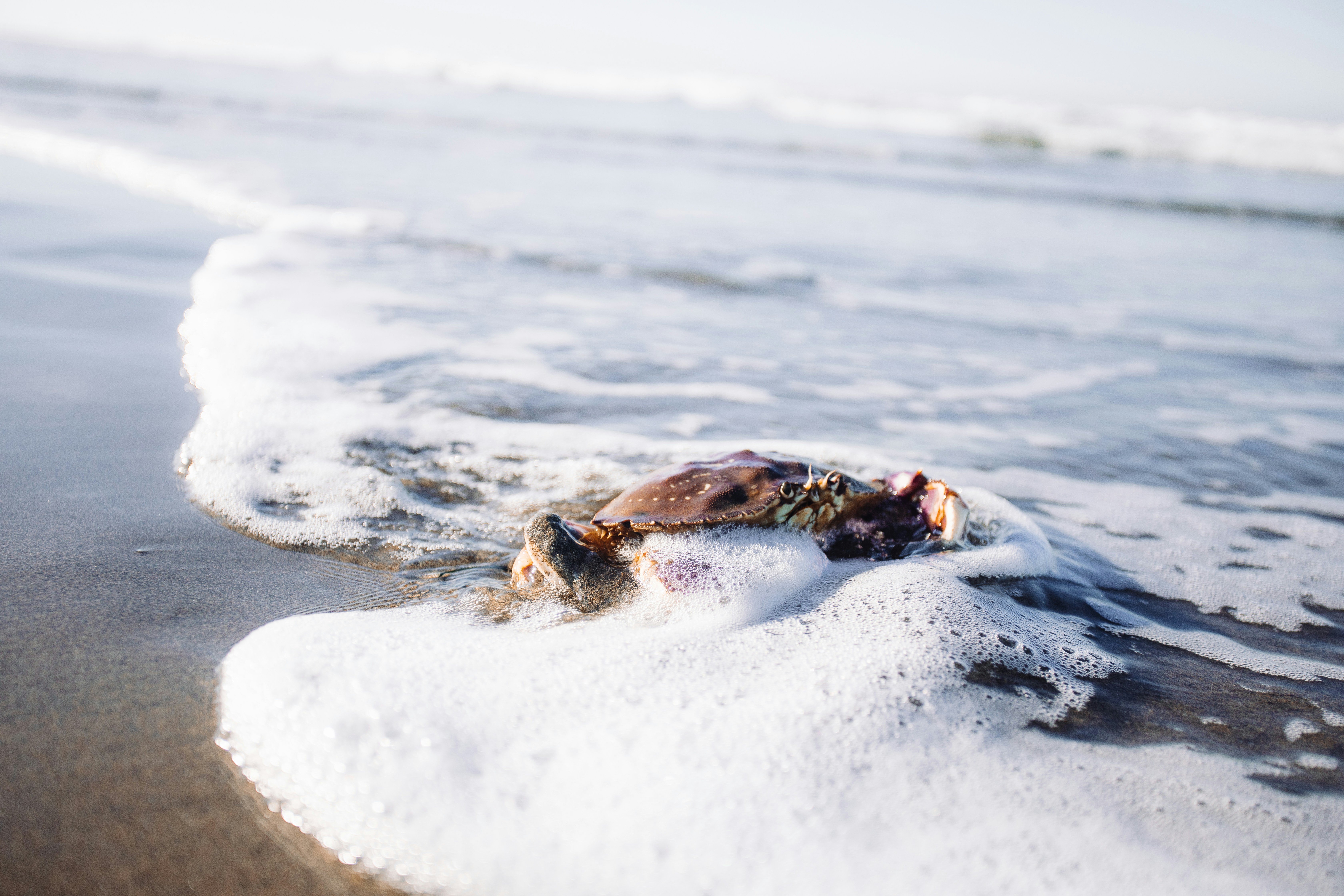 Photo by feliciamontenegro