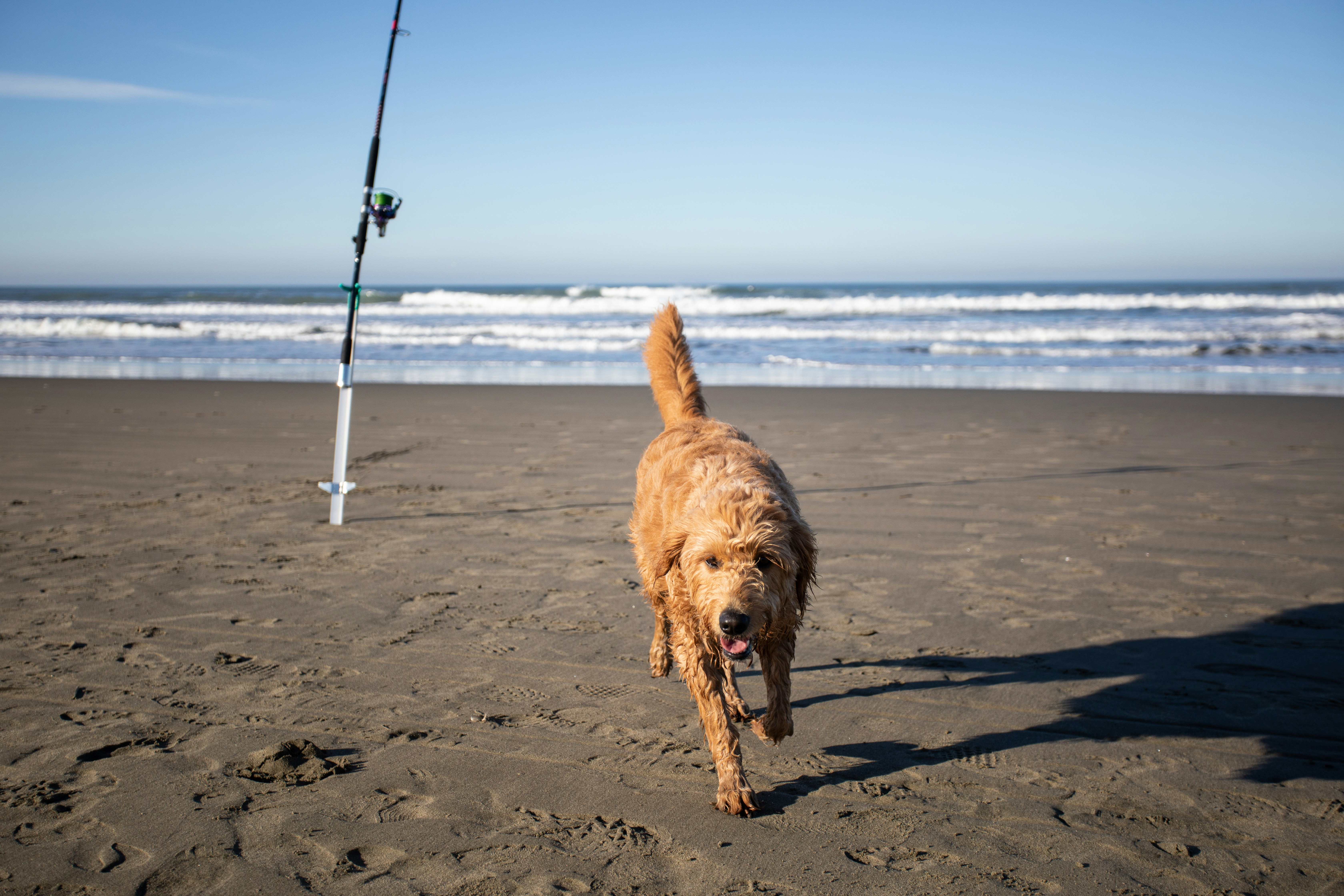 Photo by feliciamontenegro