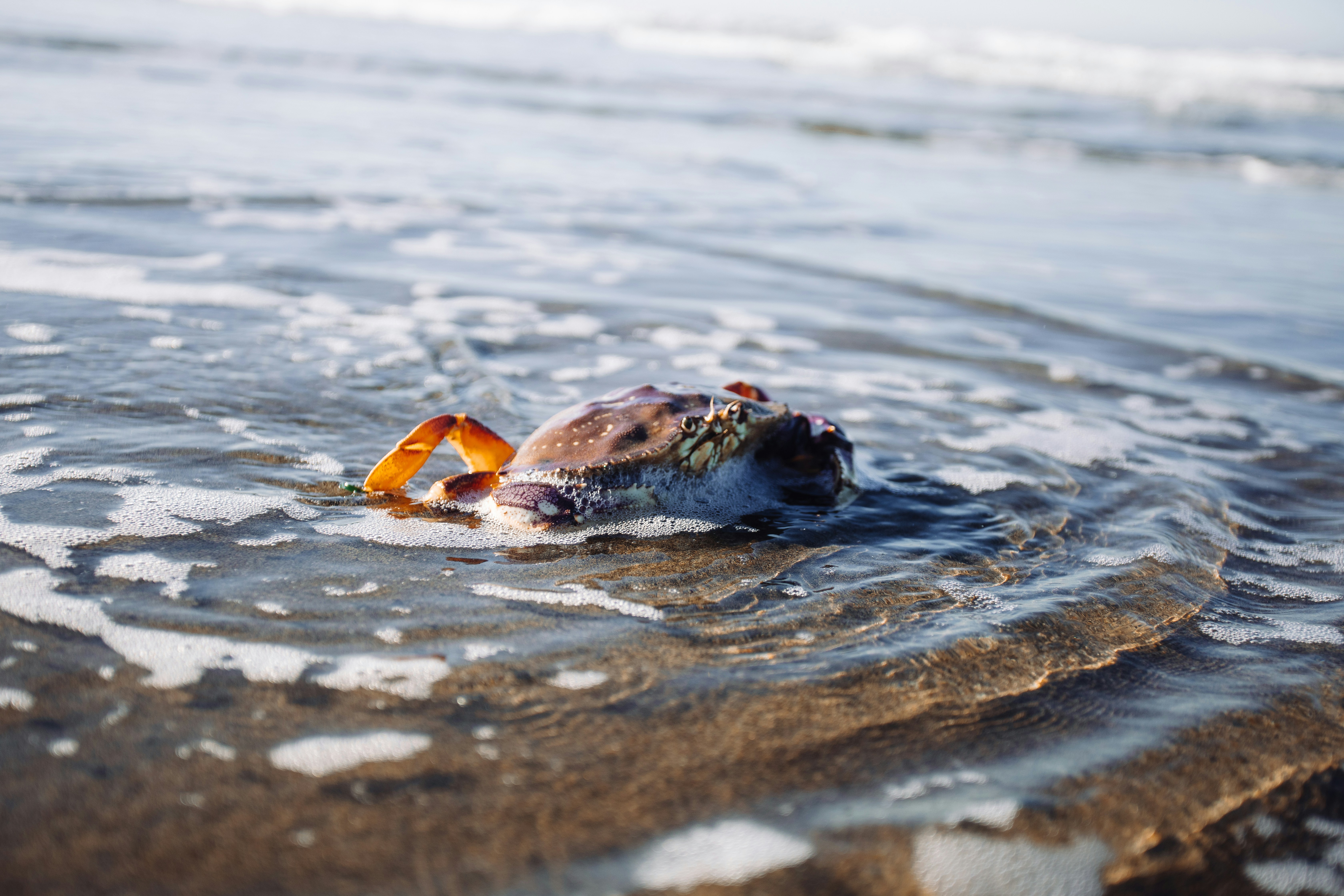 Photo by feliciamontenegro