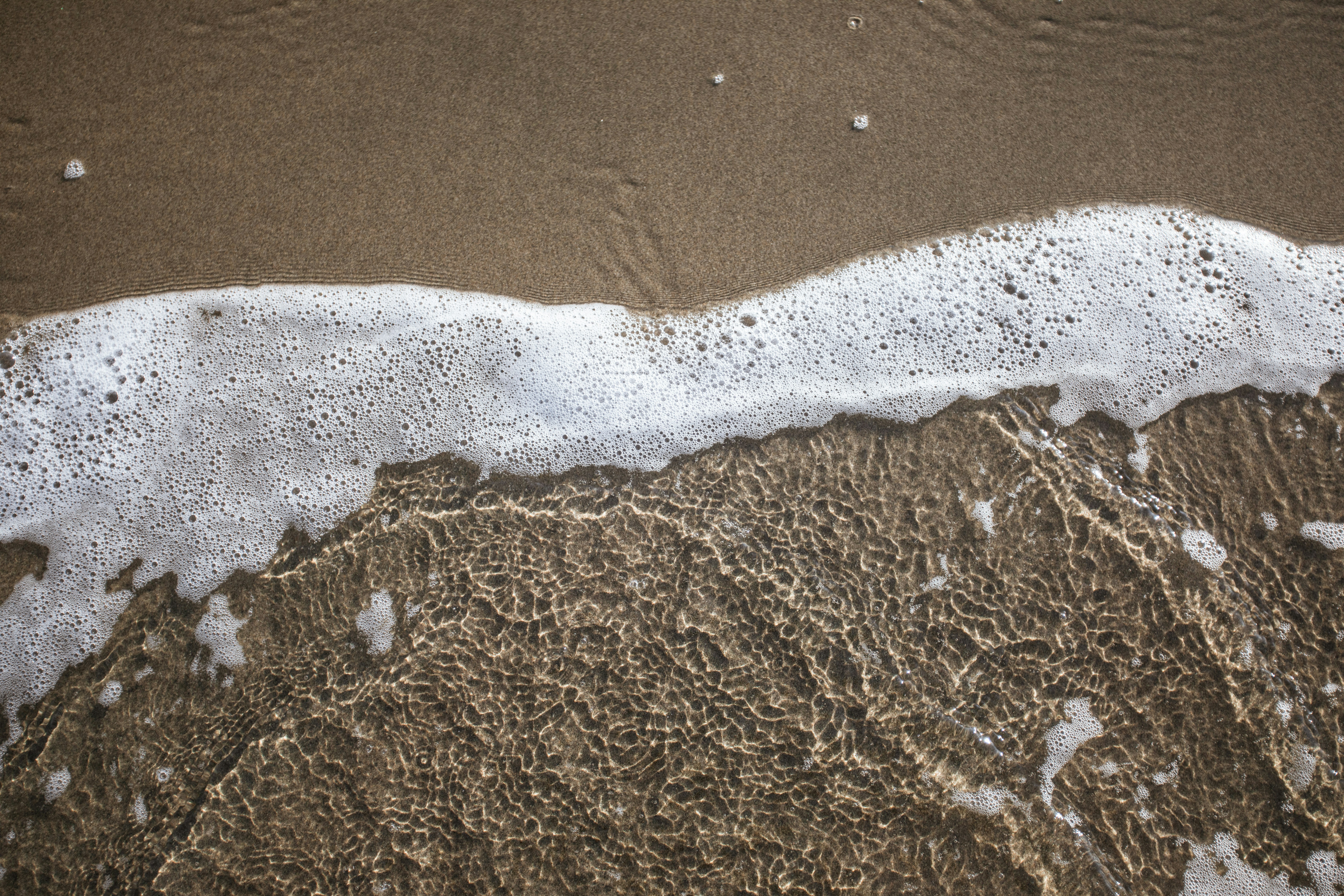 Photo by feliciamontenegro