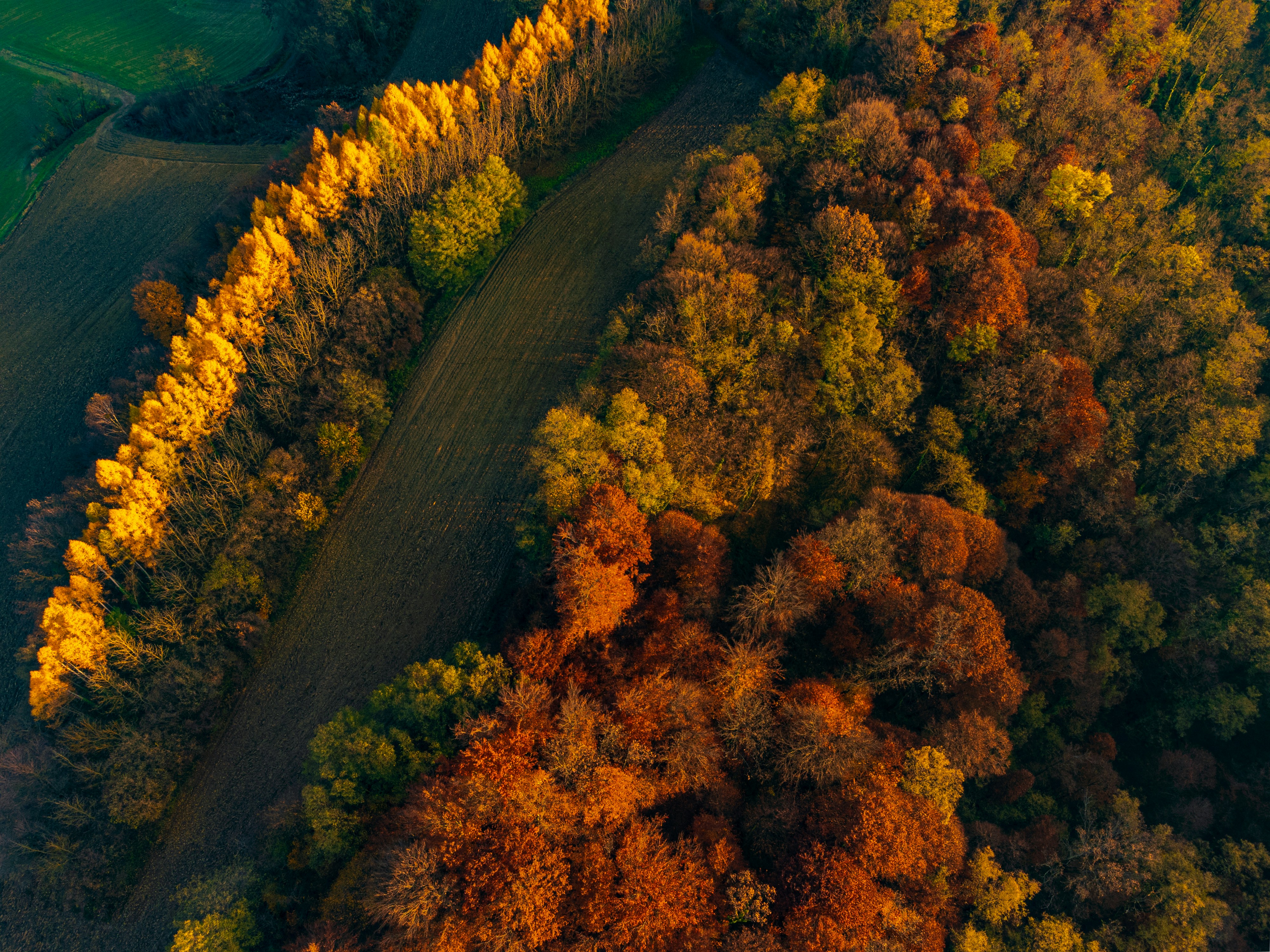 Photo by new_arrivals