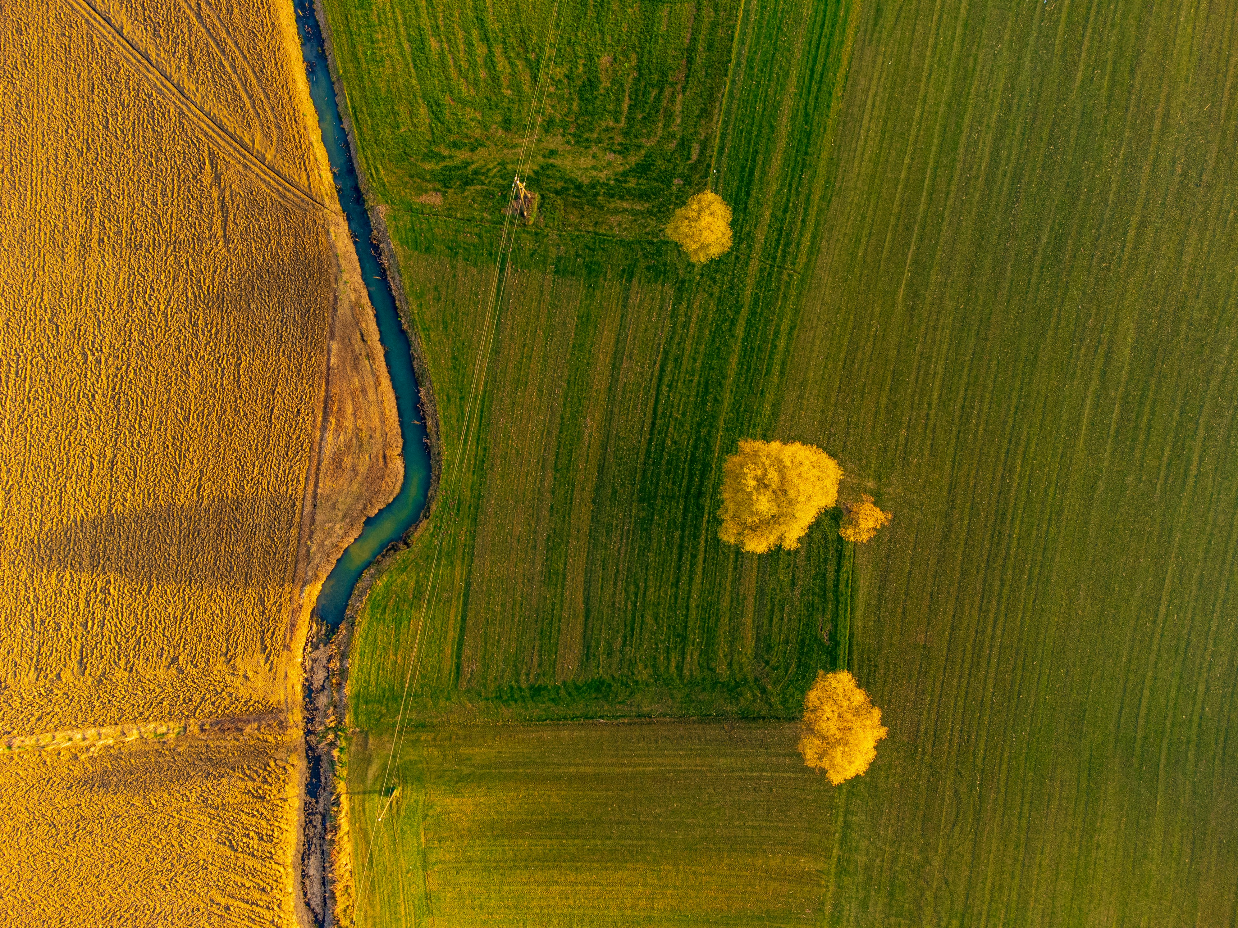 Photo by new_arrivals