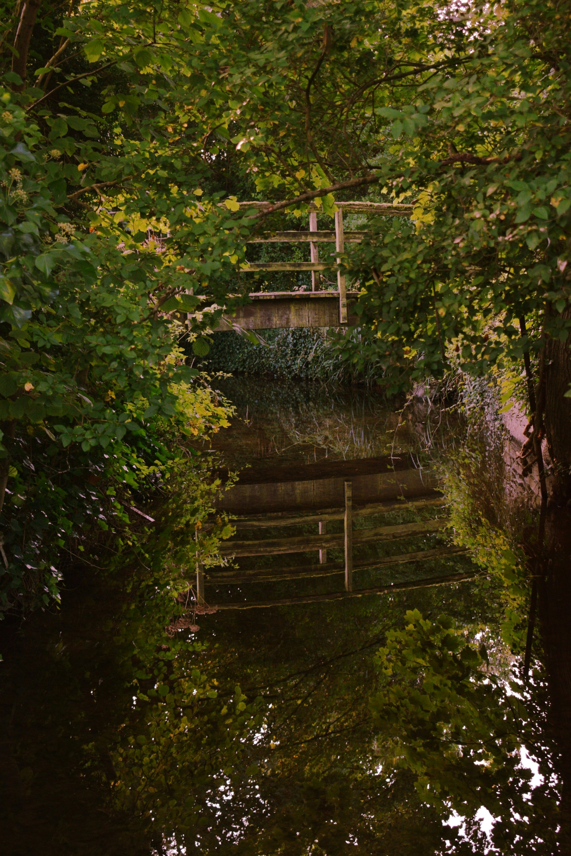 Photo by baubleandbin