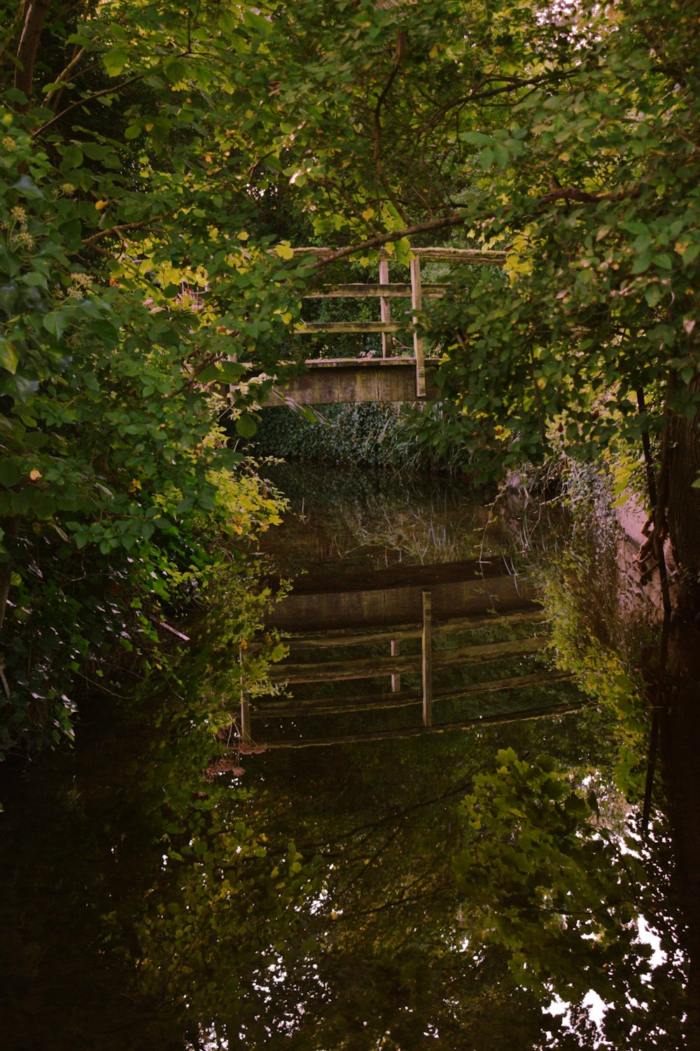 a wooden bridge over a river surrounded by trees