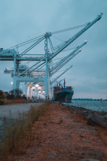 Several large industrial cranes are positioned at a shipping dock along a body of water. A cargo ship is moored beside the dock, illuminated by artificial lights. The scene exhibits a blend of natural and industrial elements, with overcast skies casting a dim light over the area.