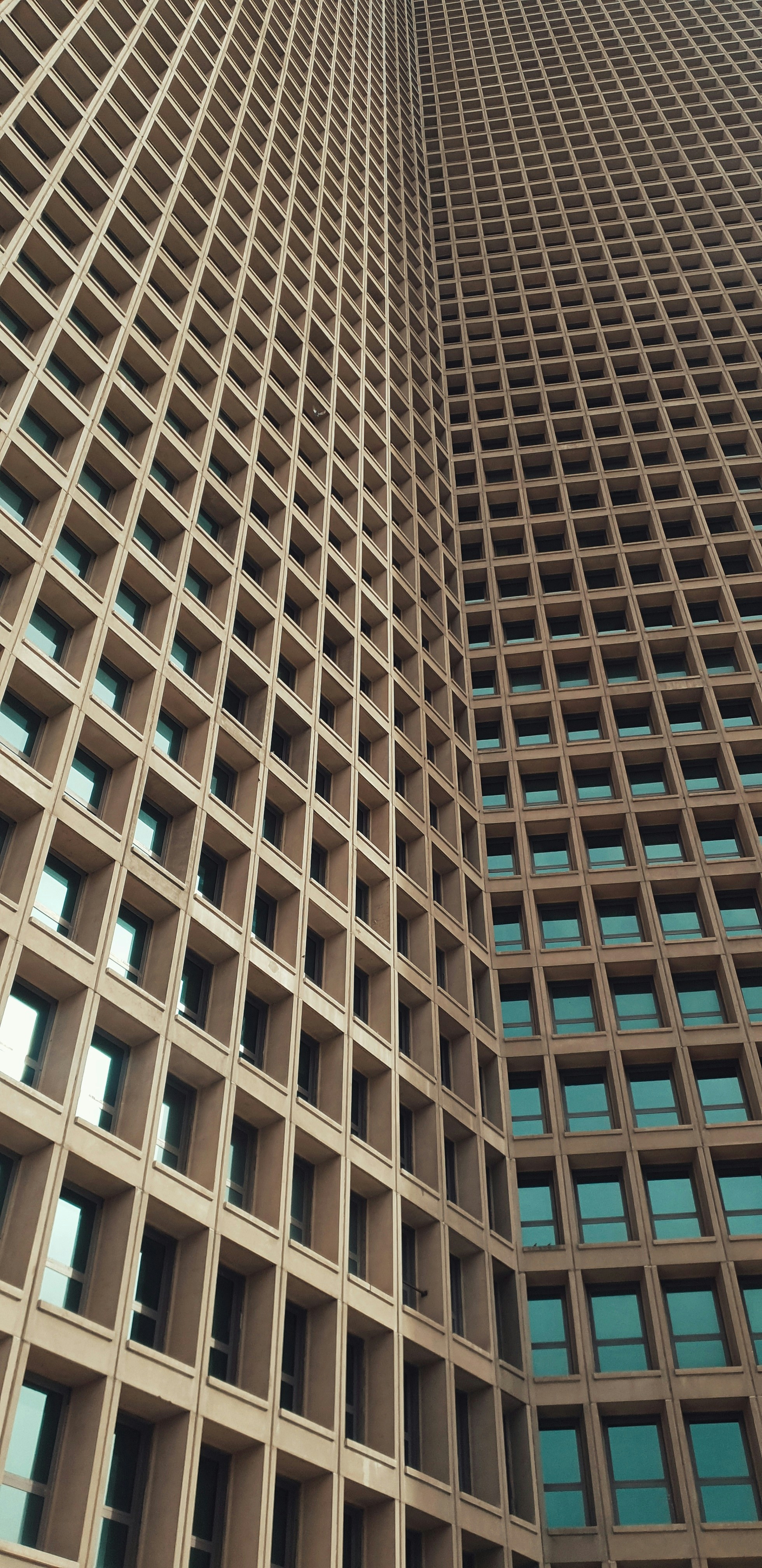 Photo by kamrangholami