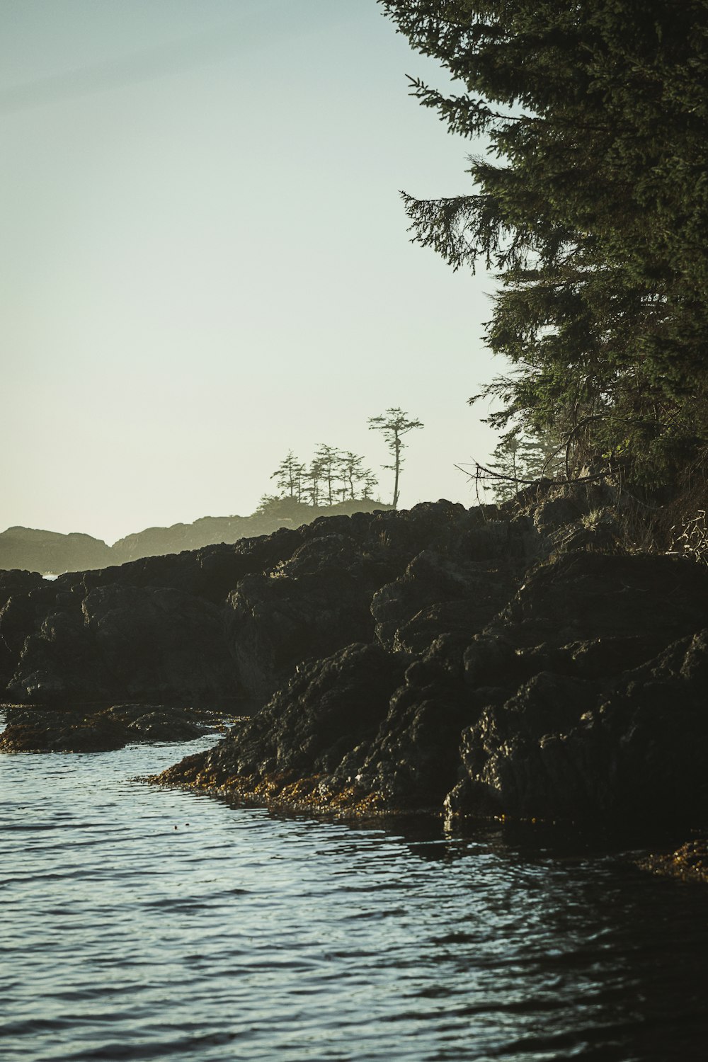 a body of water surrounded by trees and rocks