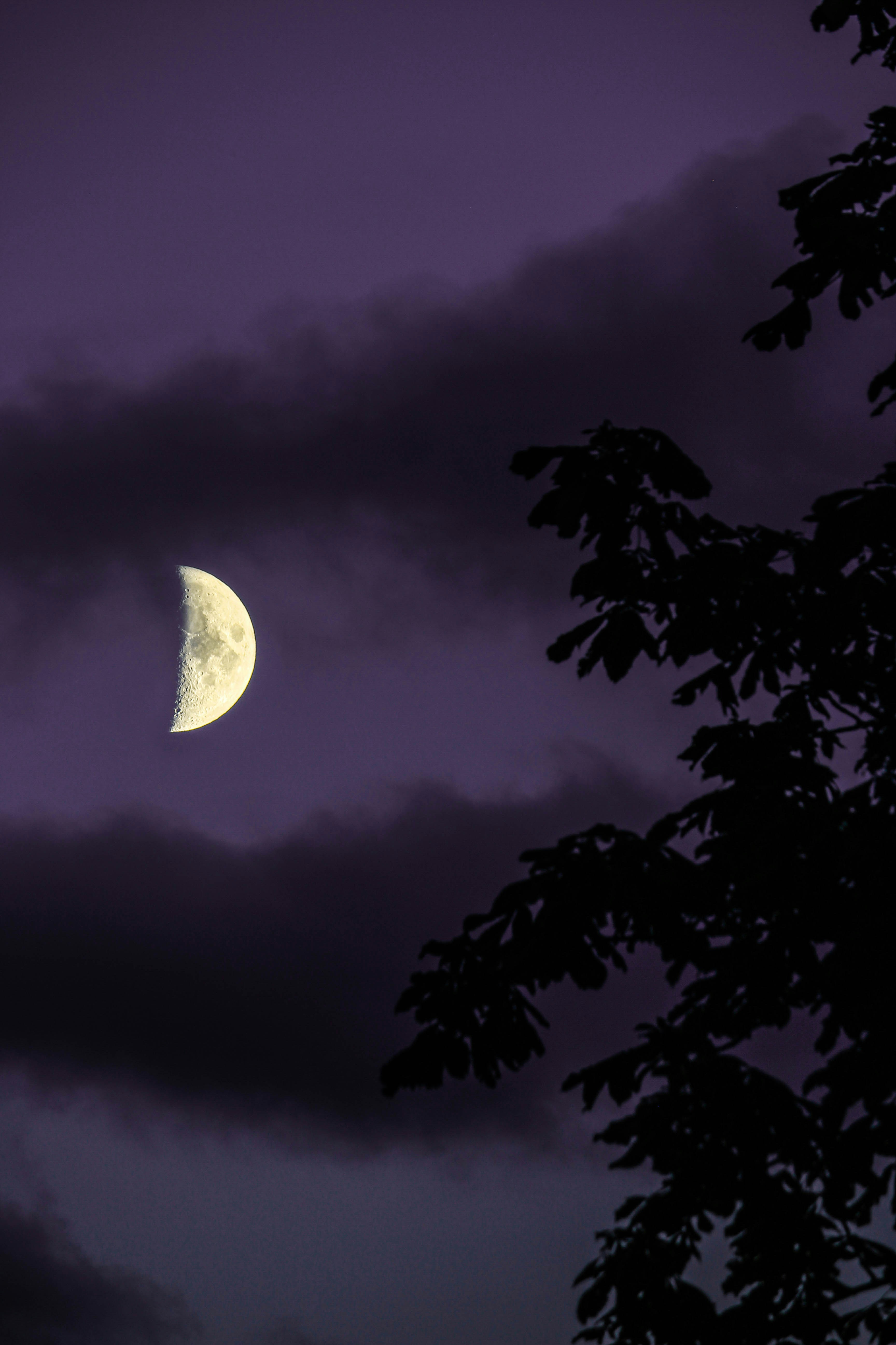 Photo by ferreiraphotosfp