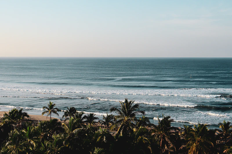 Best Rainy Day Activities in Acapulco When the Weather Turns