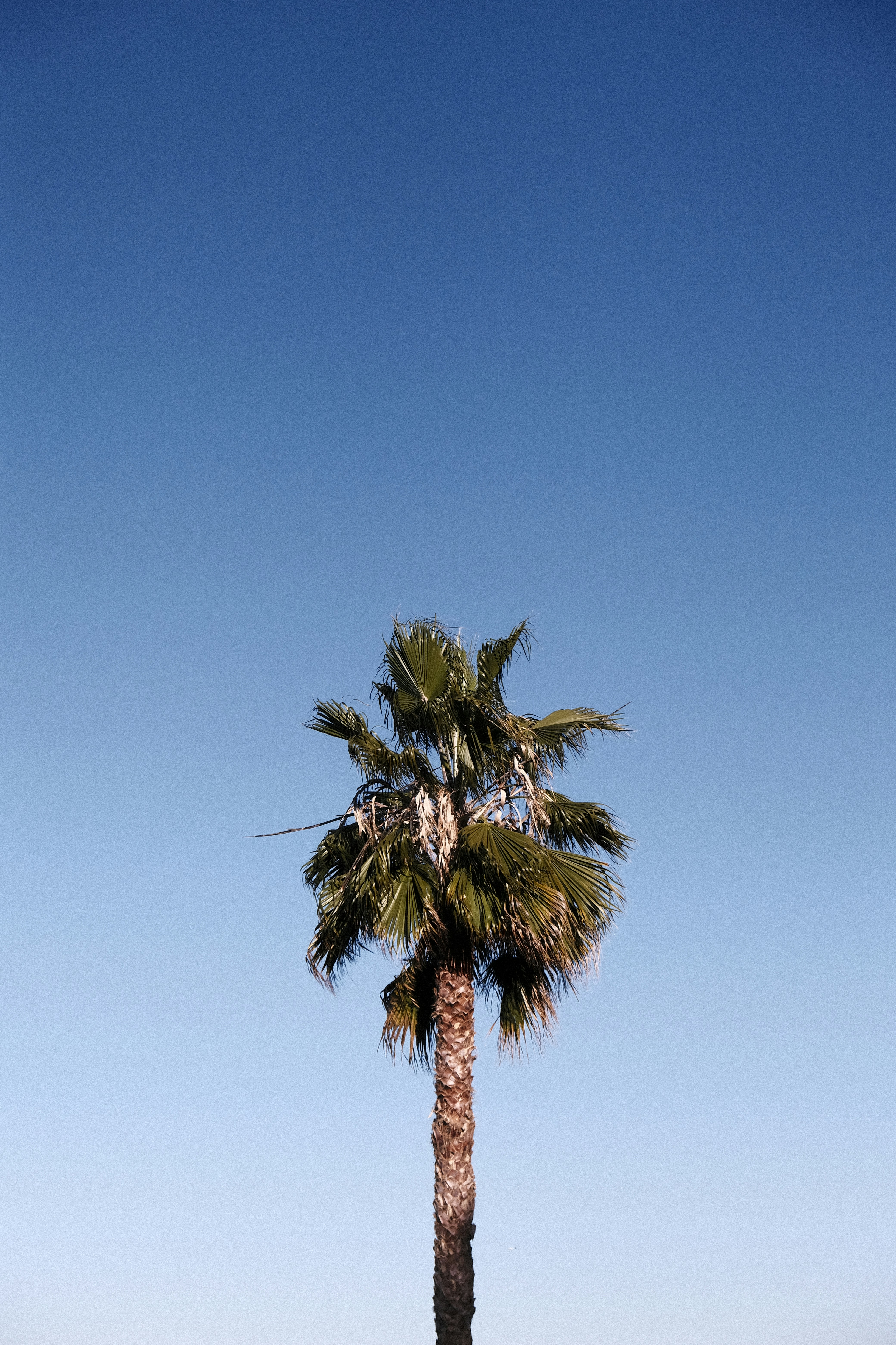 Photo by chandleraitchison