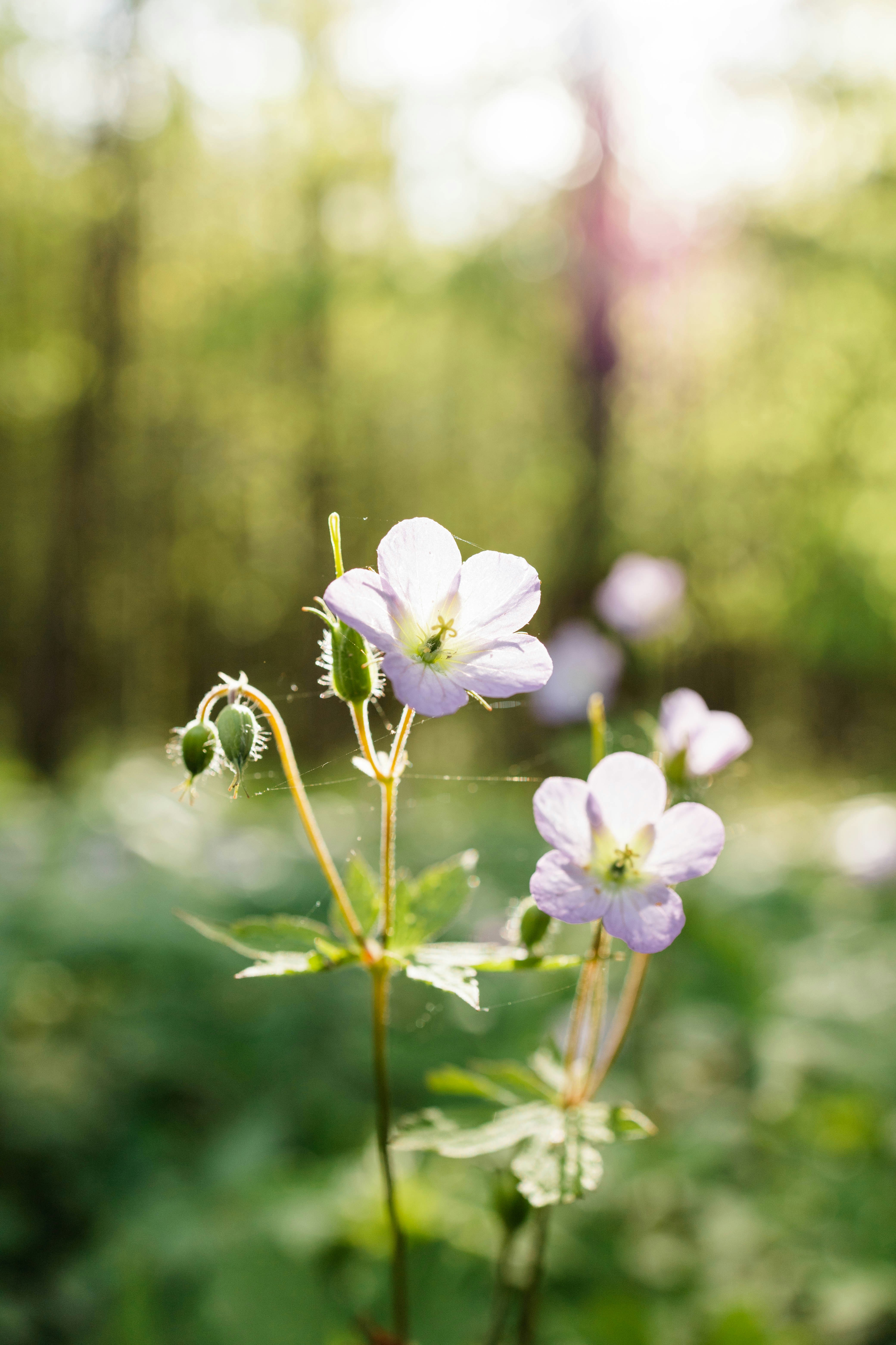 Photo by bradynshock