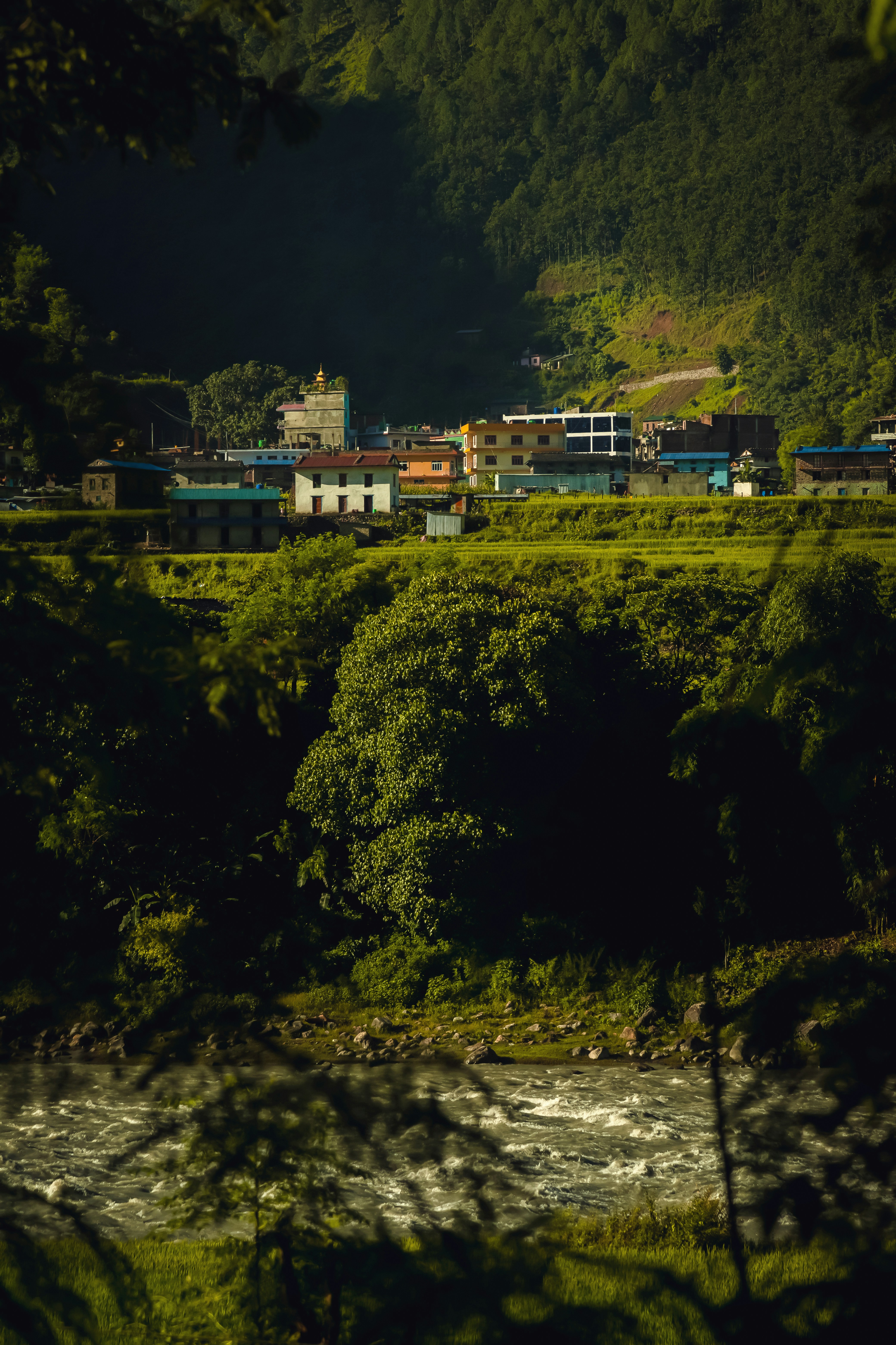 Photo by ashokjkshetri