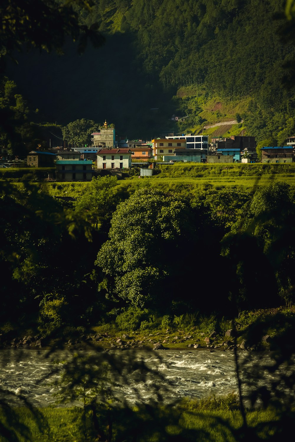 a train traveling through a lush green countryside