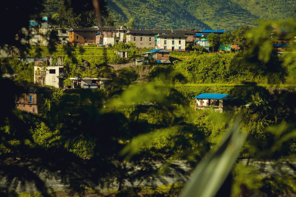 a small village nestled on a hill surrounded by trees