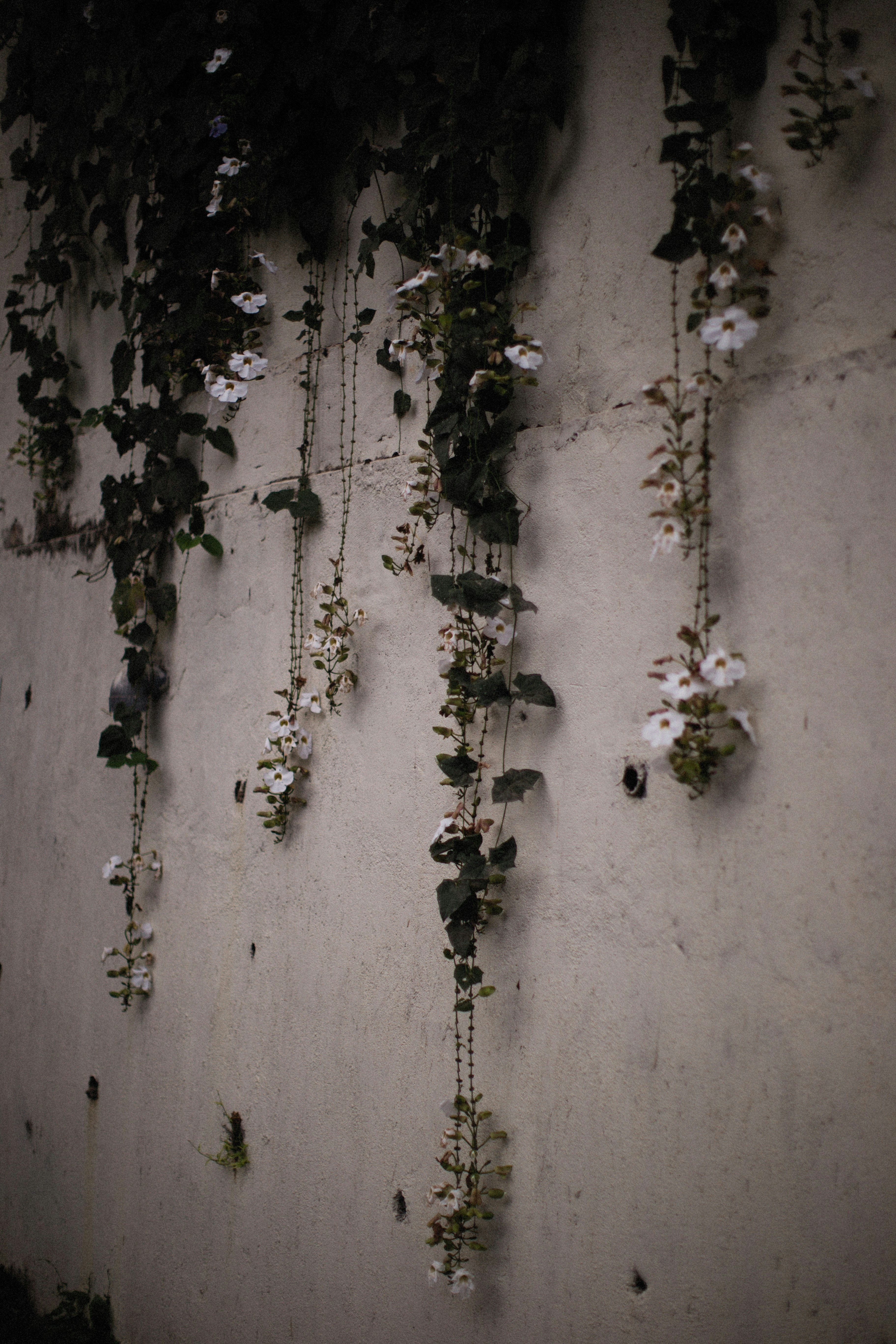 Photo by alexeydemidov