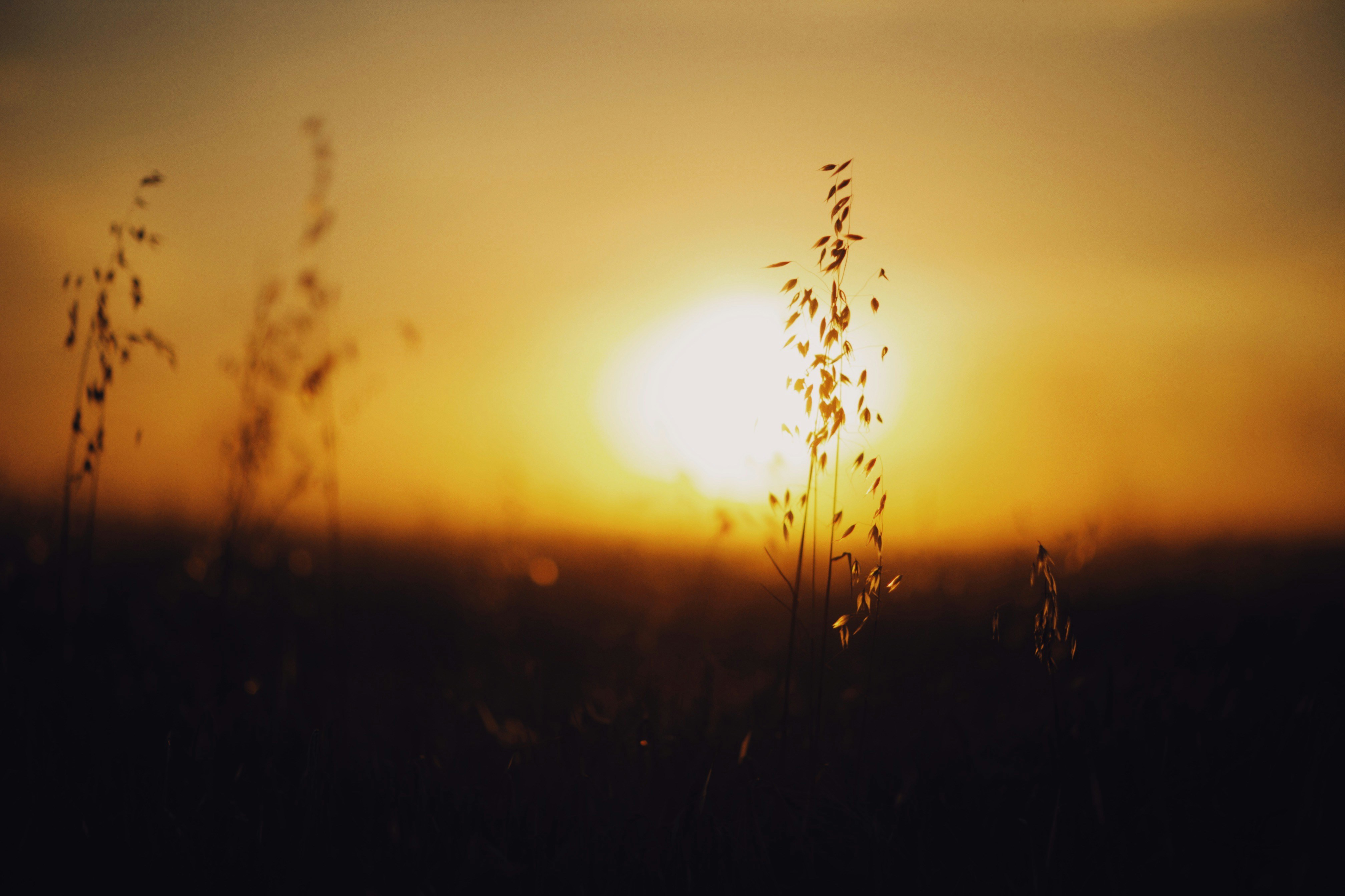 Photo by alexeydemidov