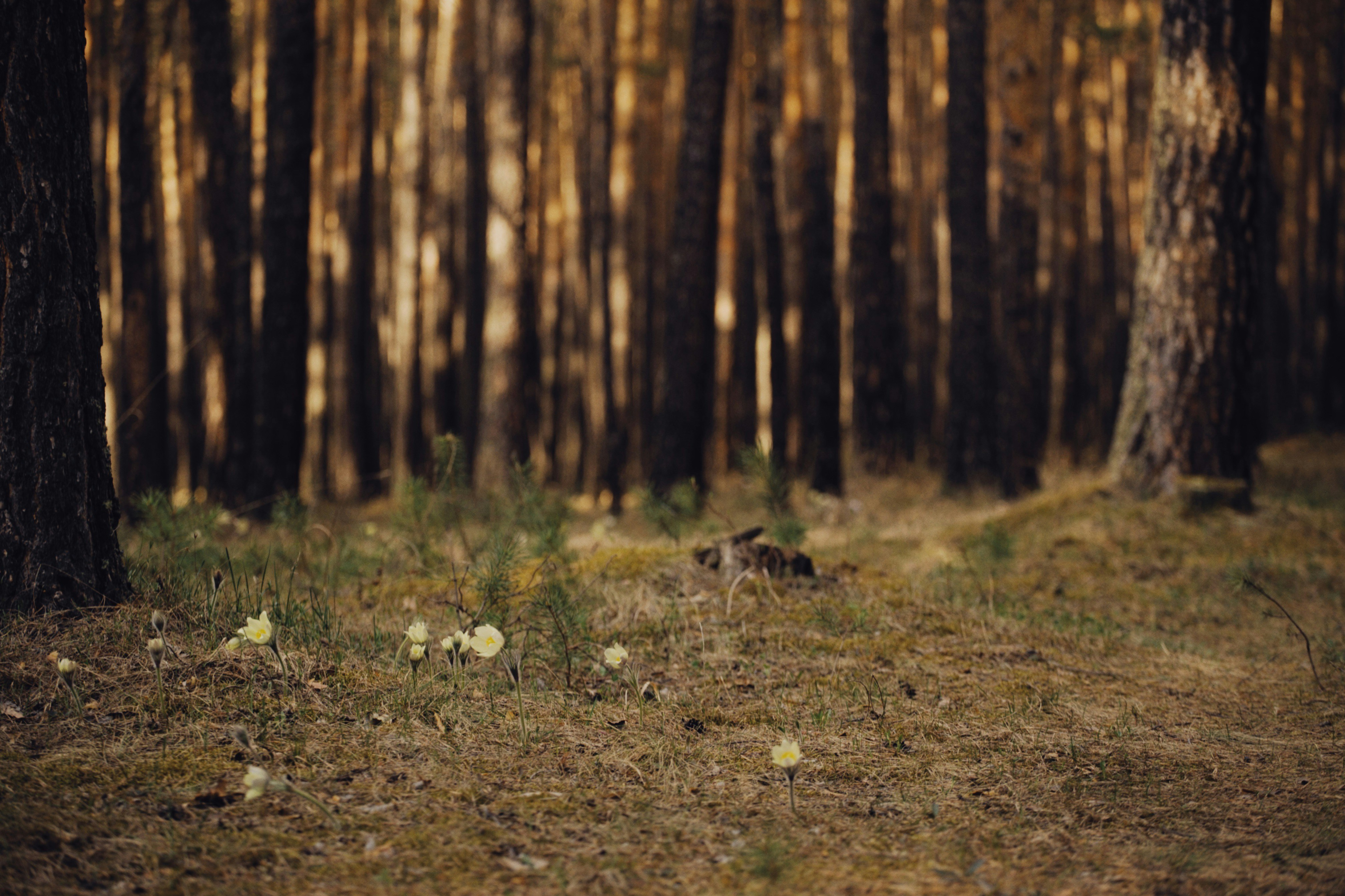 Photo by alexeydemidov