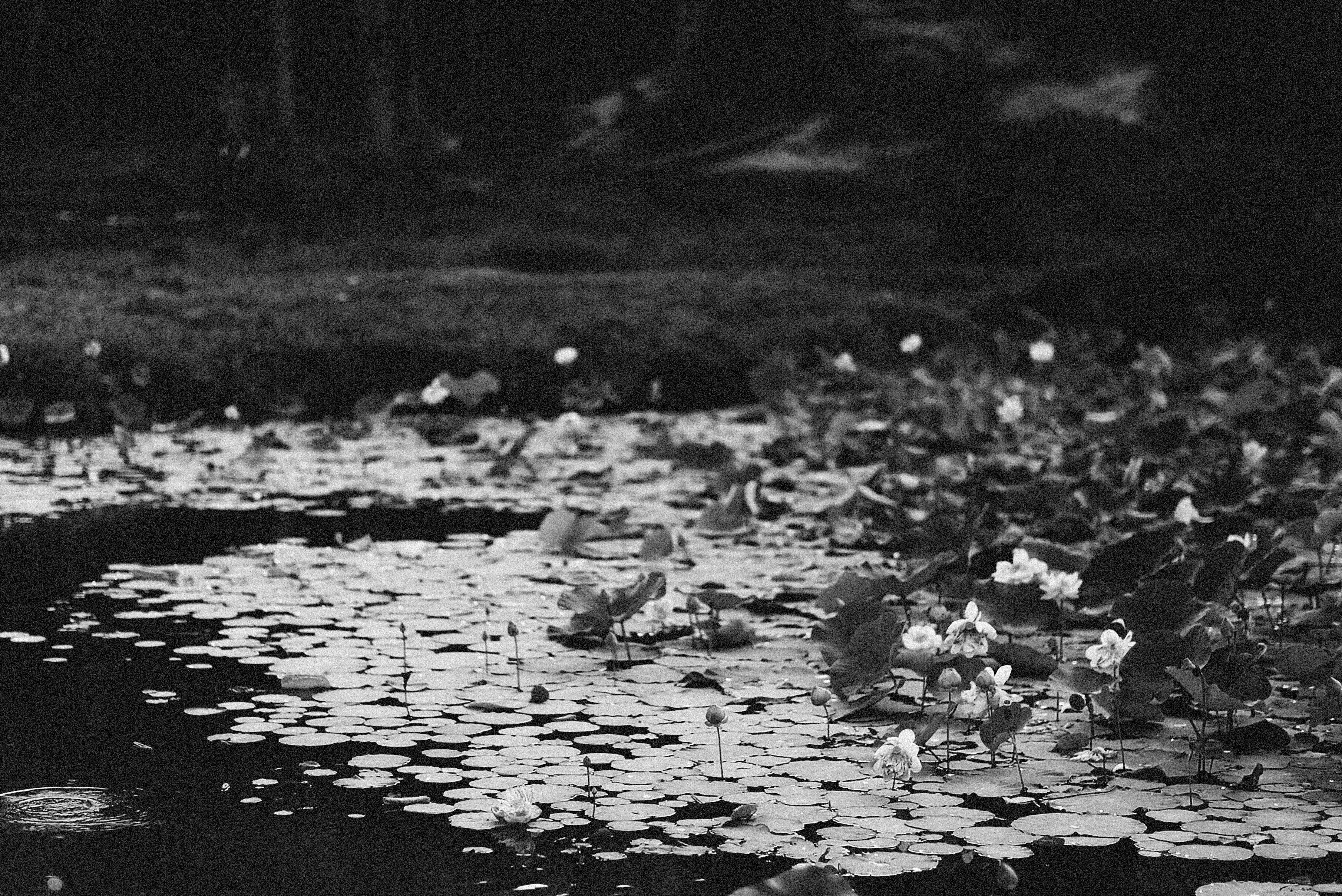 Photo by alexeydemidov