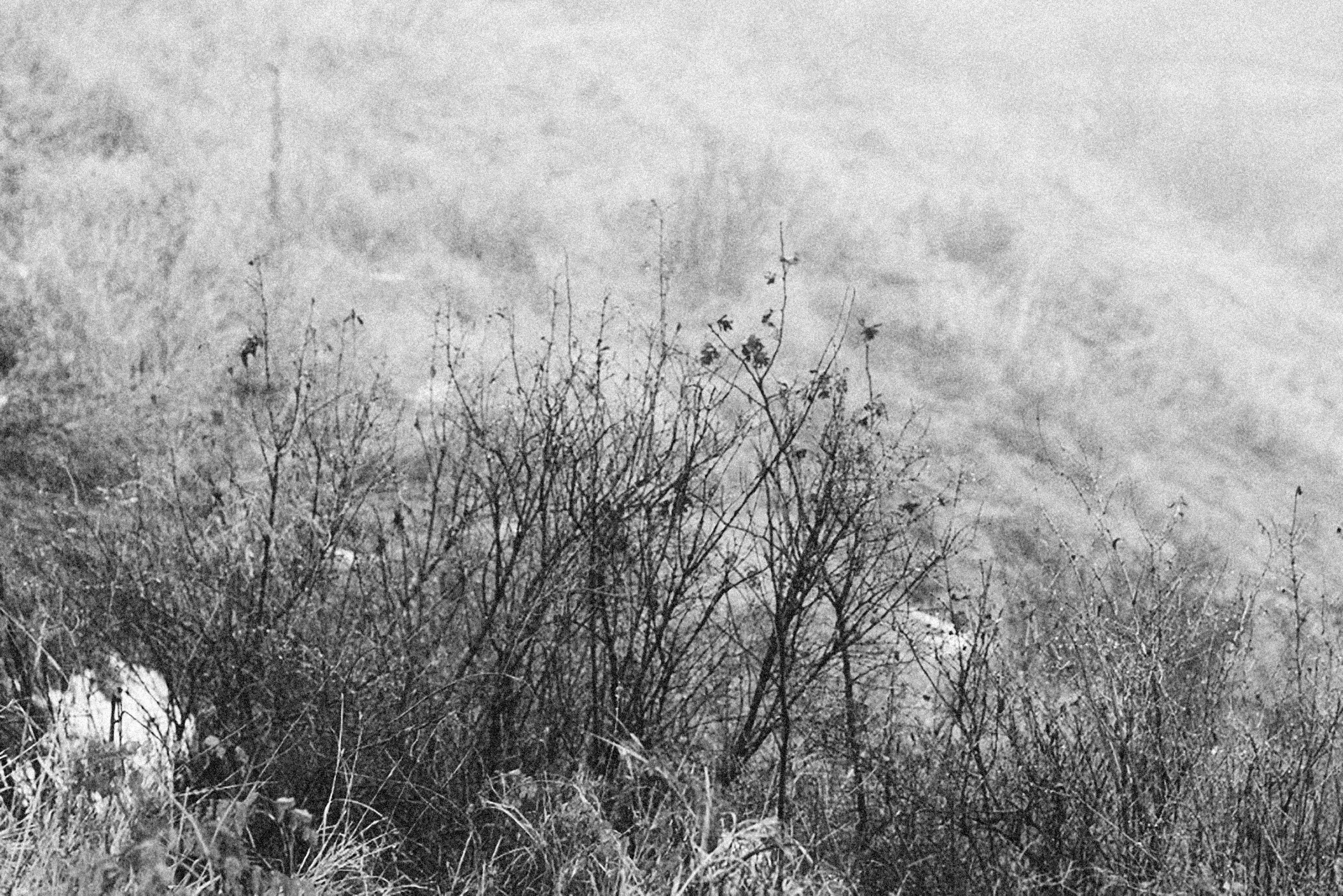 Photo by alexeydemidov