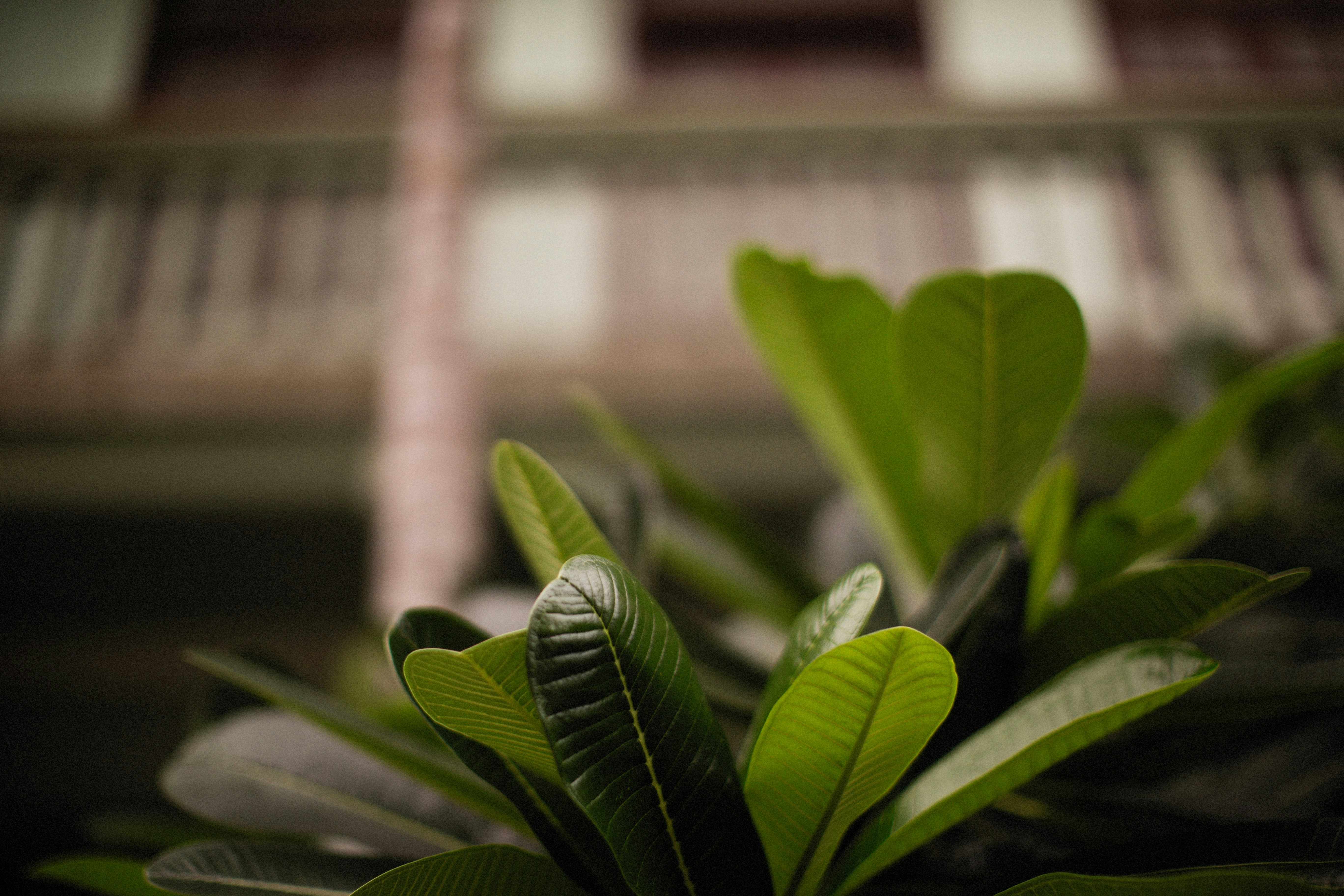 Photo by alexeydemidov