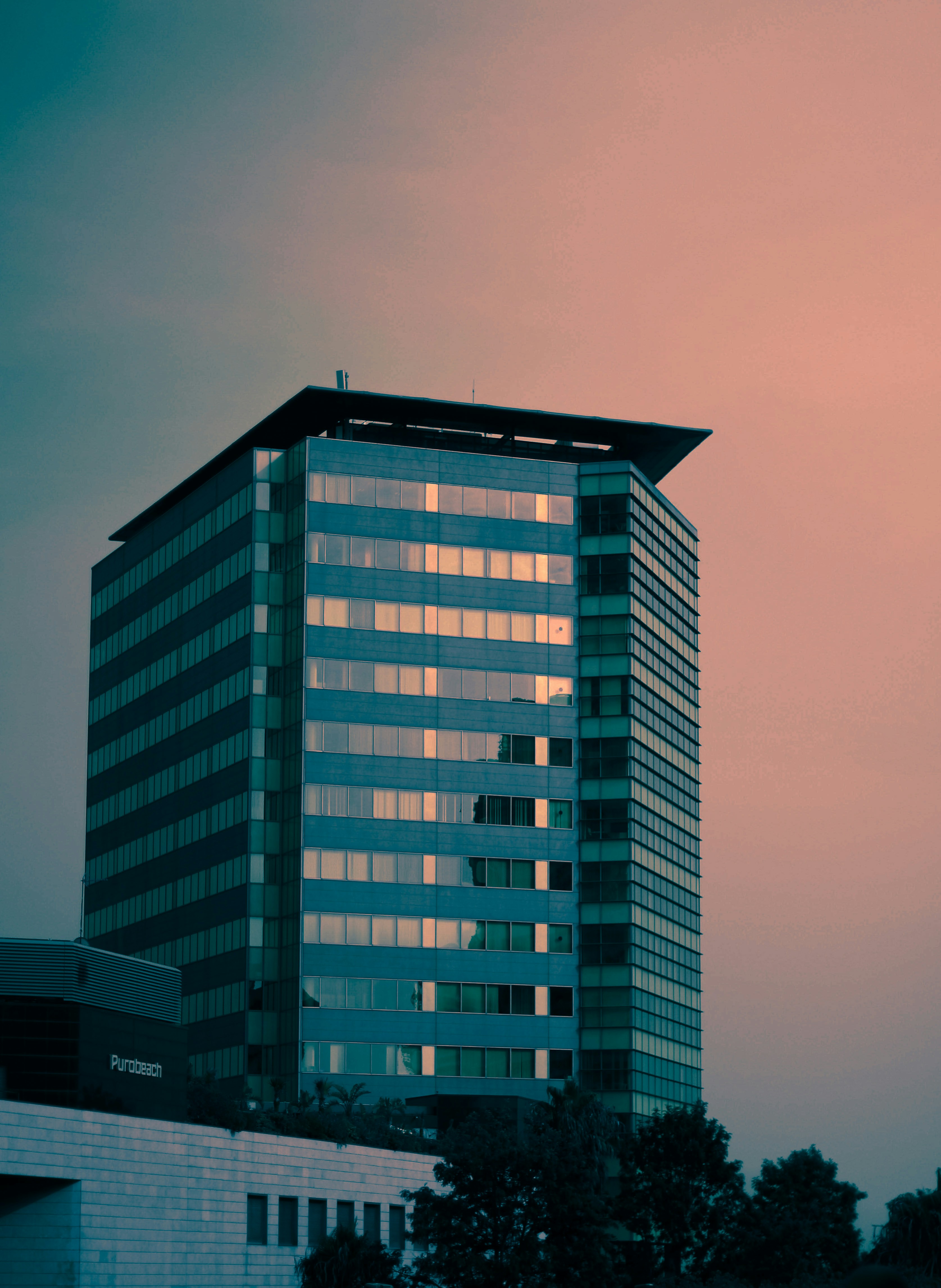 Photo by gringophoto