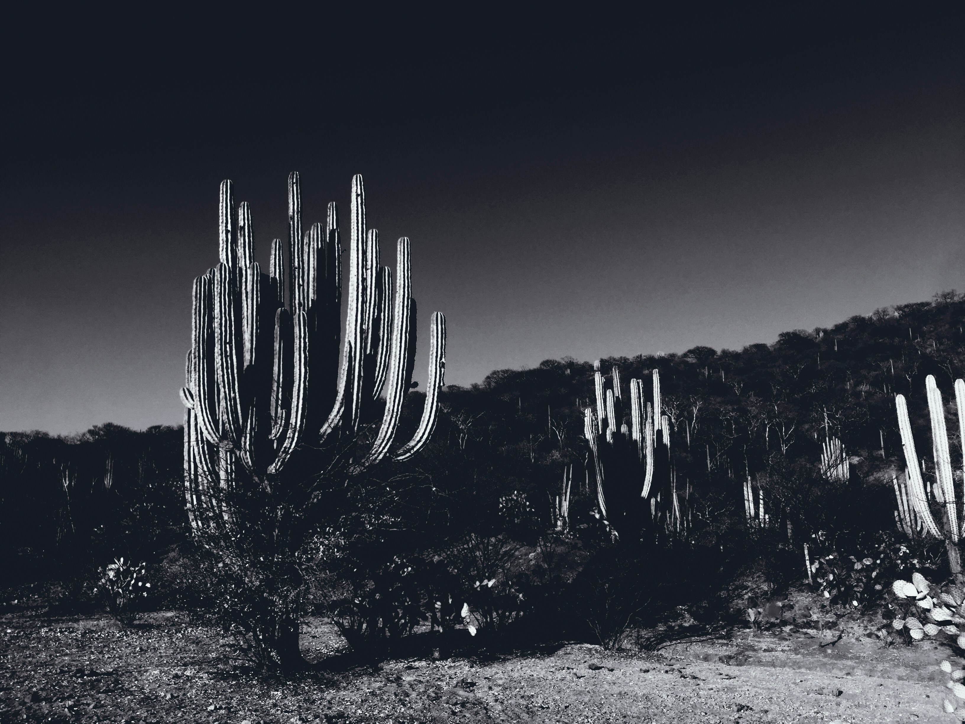 Photo by jmanuelsalinas