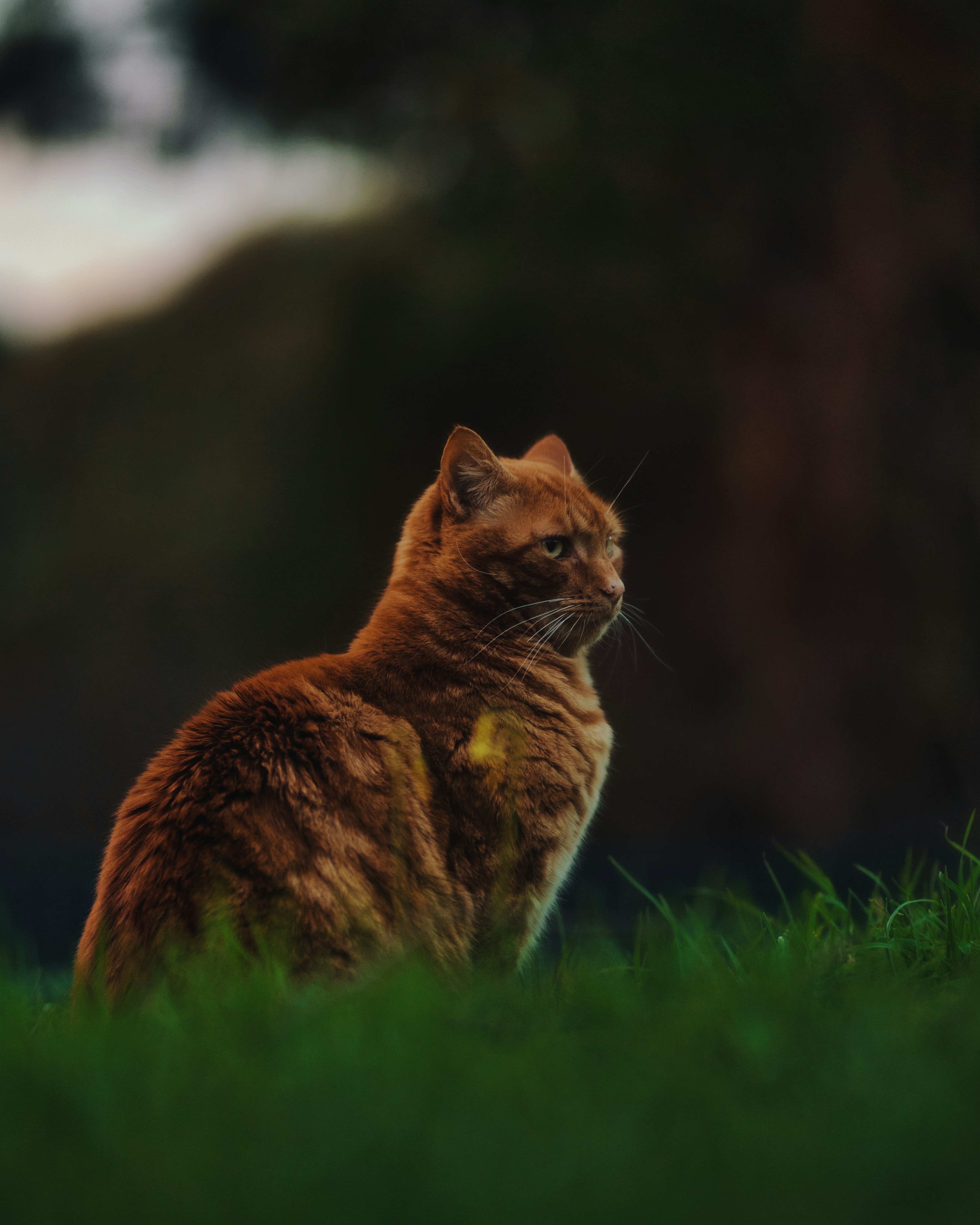 Photo by ravindrarawat2