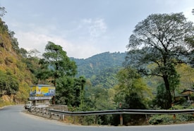 A winding road curves through a lush, green forested area with a mountainous backdrop. Various trees line the roadside, and a billboard stands prominently near the bend, partly obscuring a parked vehicle.
