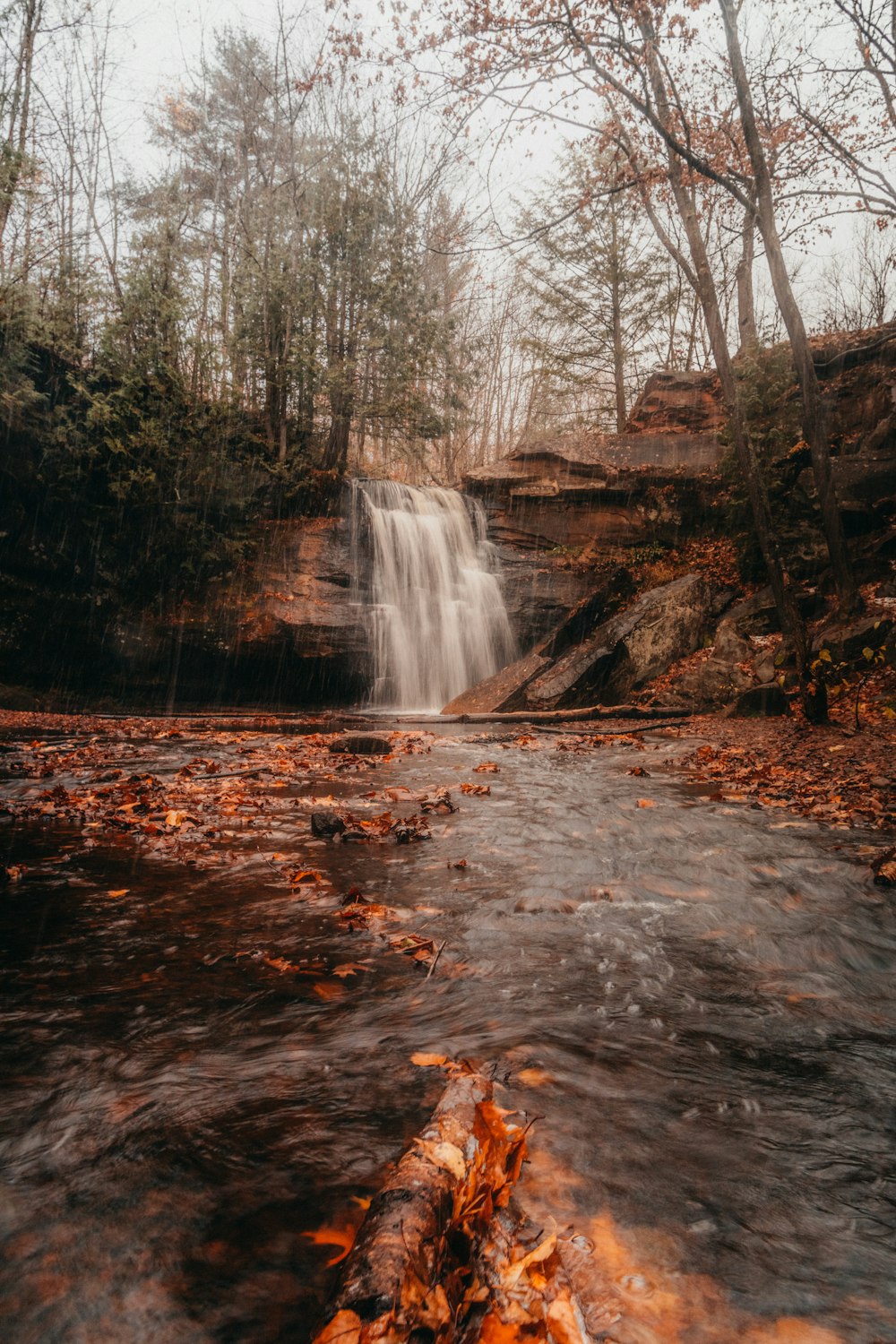 a waterfall with a fallen tree in the foreground