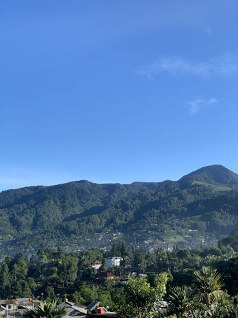 A scenic view of lush green mountains and indigenous huts under a bright Caribbean sky.