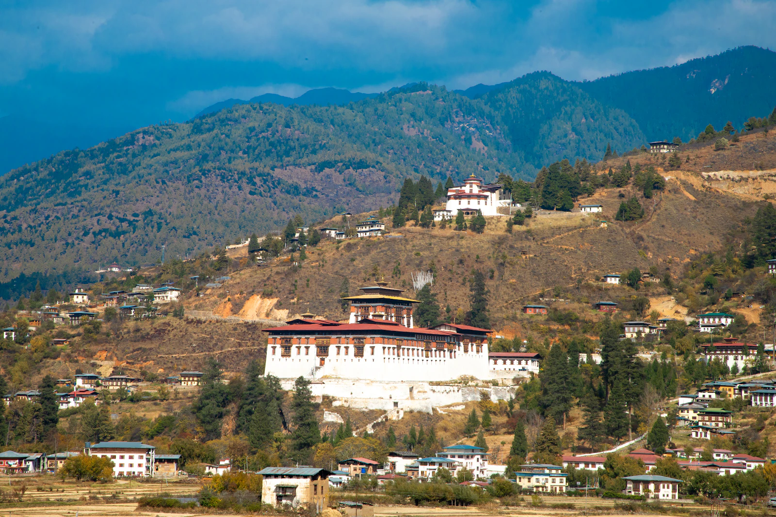 Rinpung Dzong above Paro town, with the round Ta Dzong watchtower on the pine hill behind it