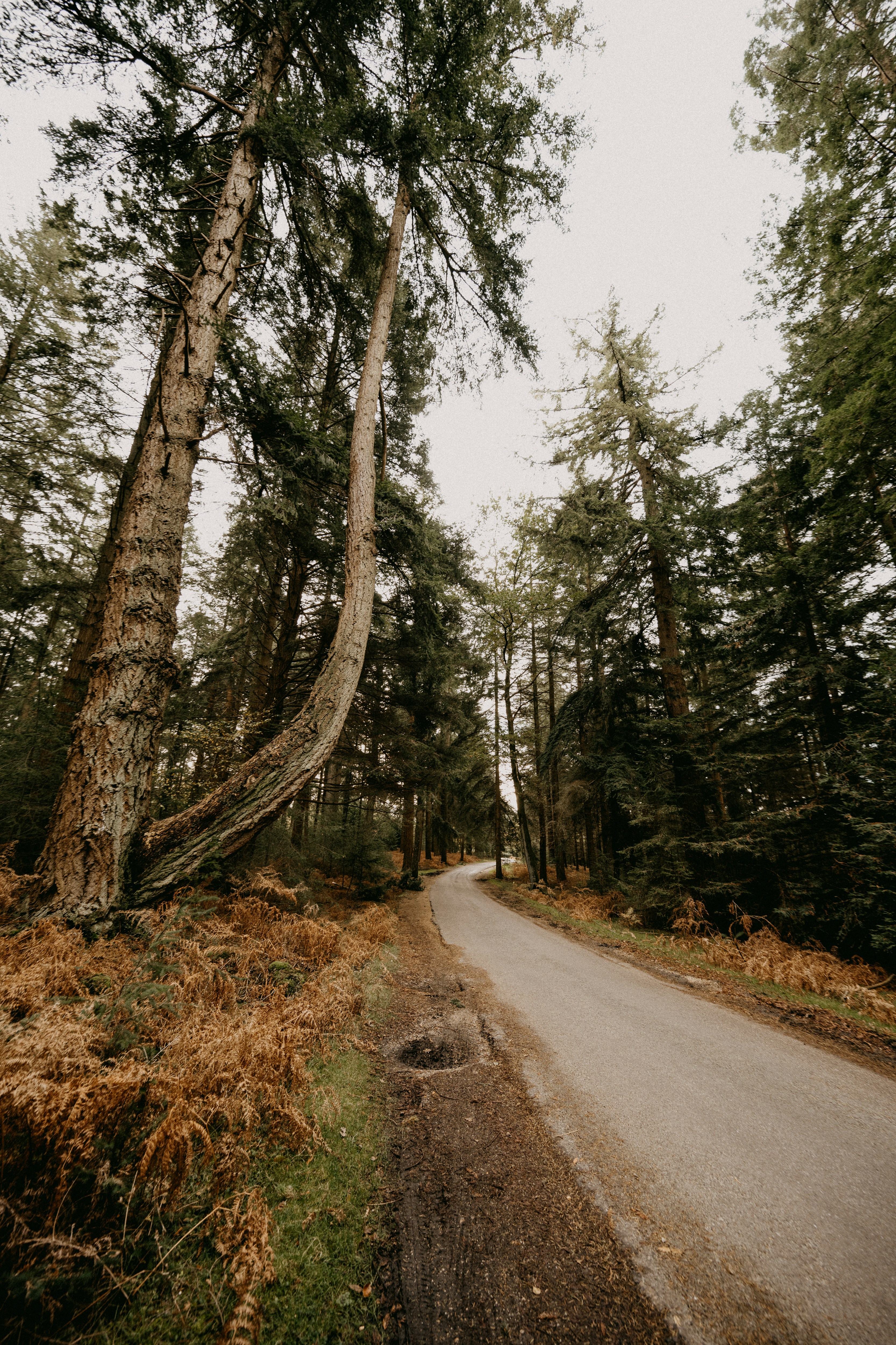 Photo by anniespratt