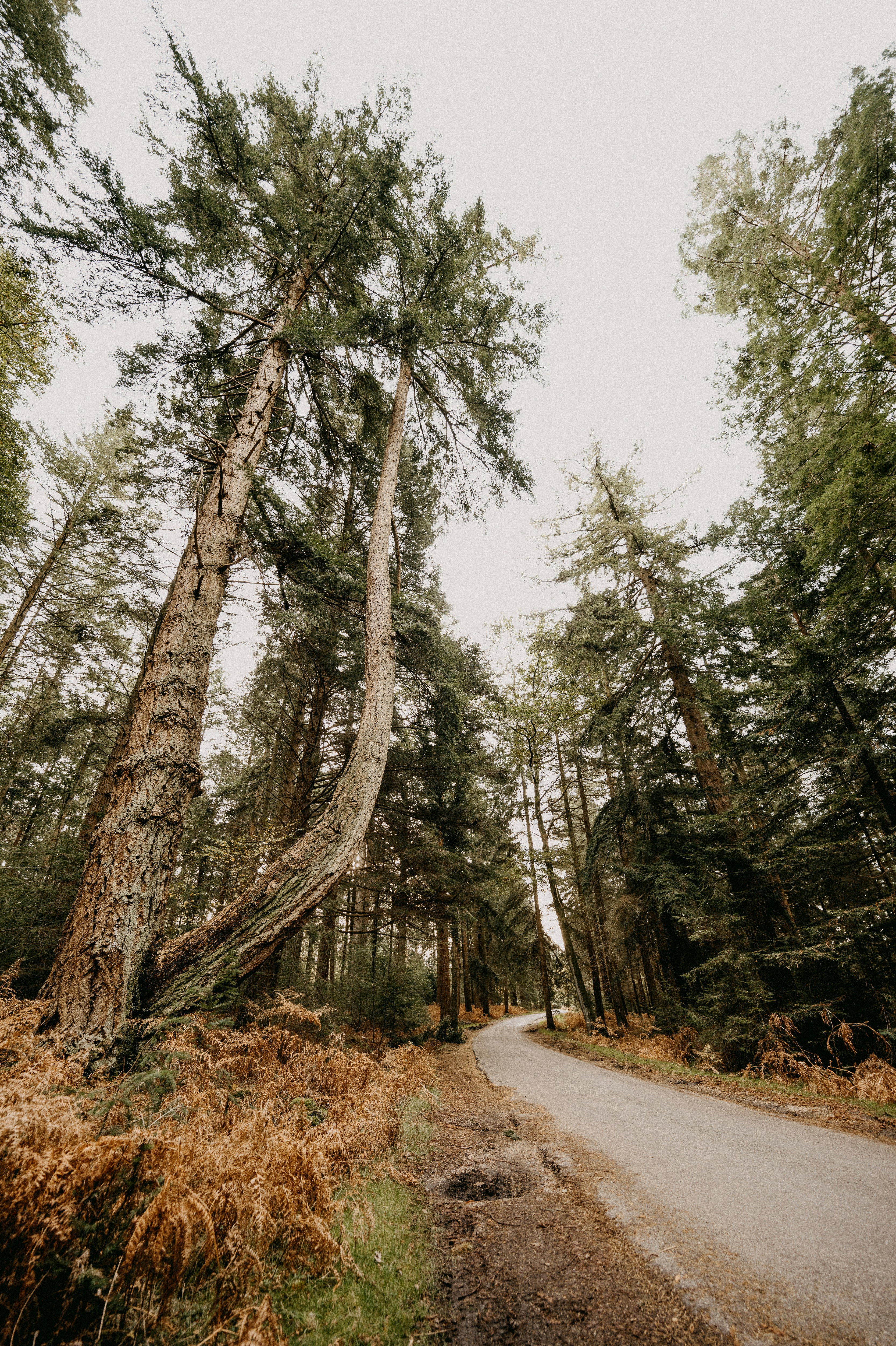 Photo by anniespratt