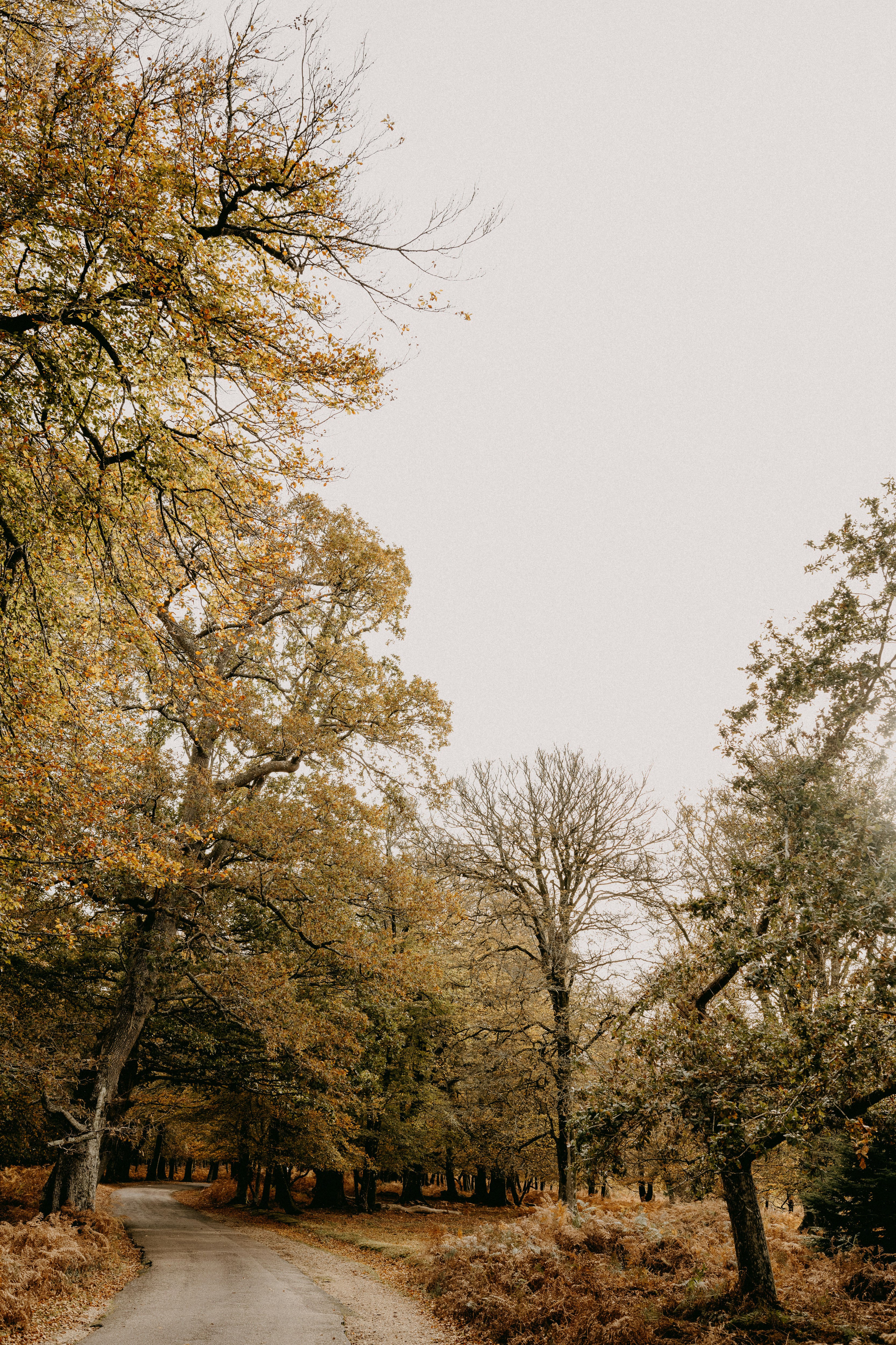 Photo by anniespratt