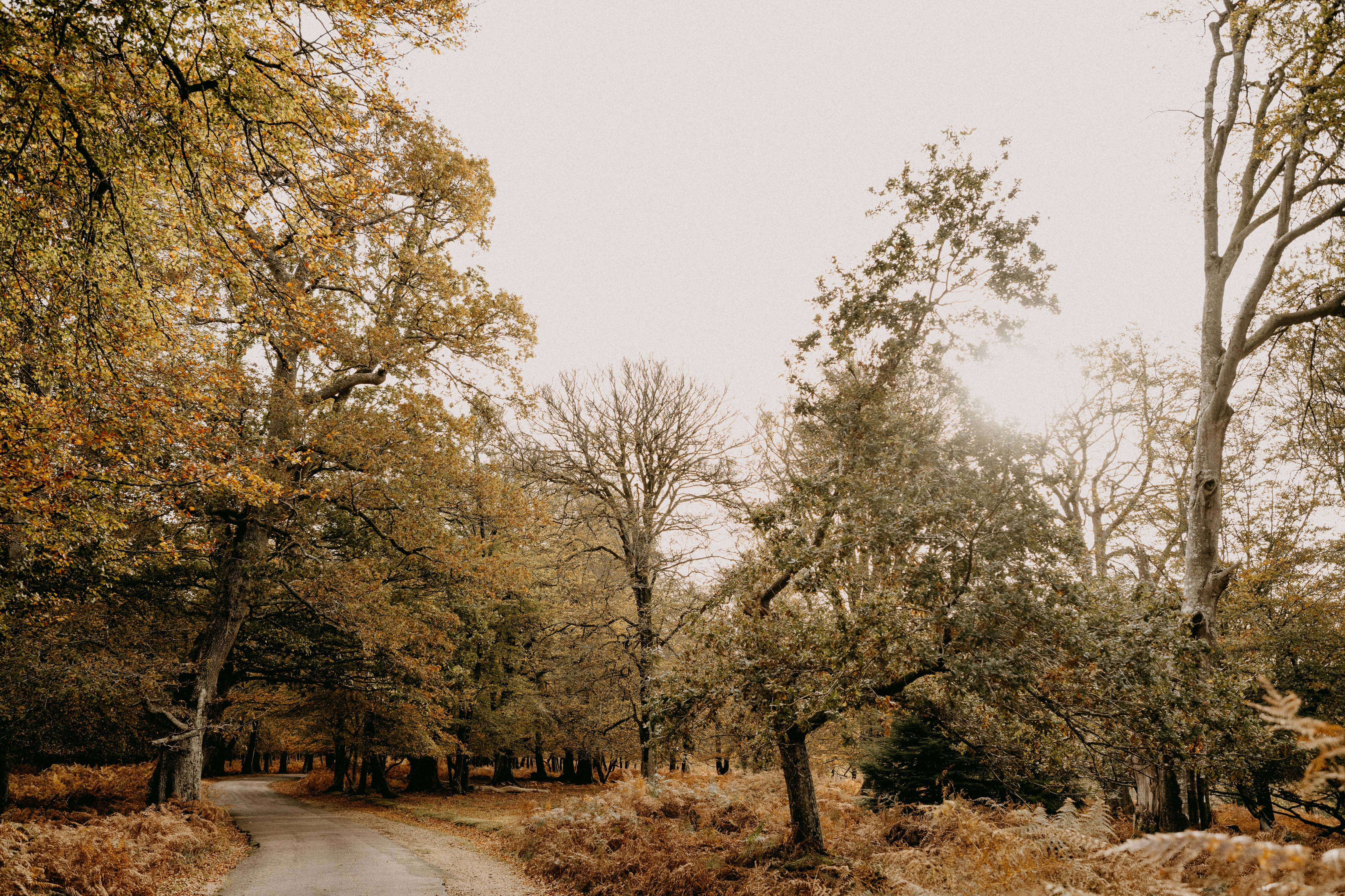 Photo by anniespratt