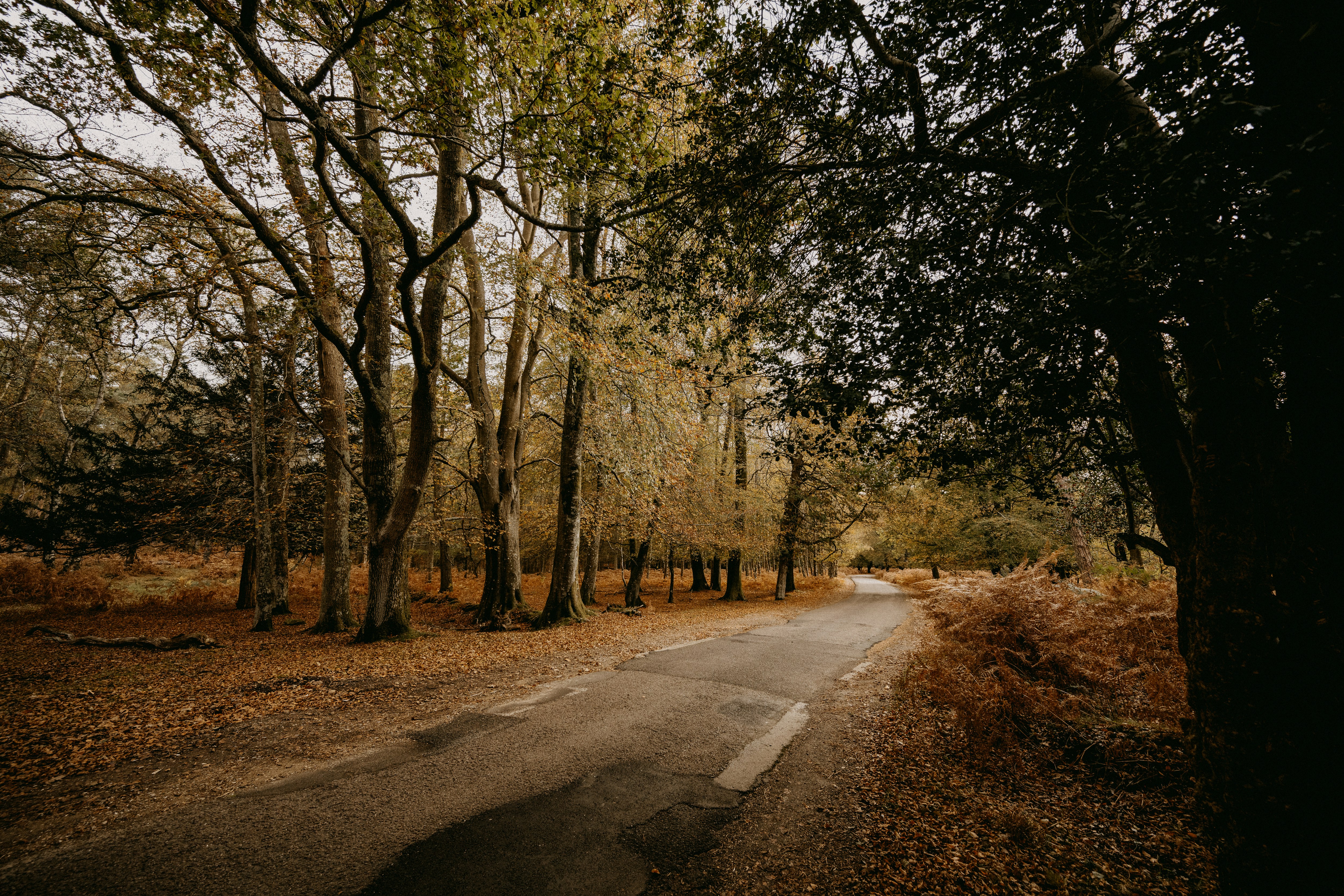 Photo by anniespratt