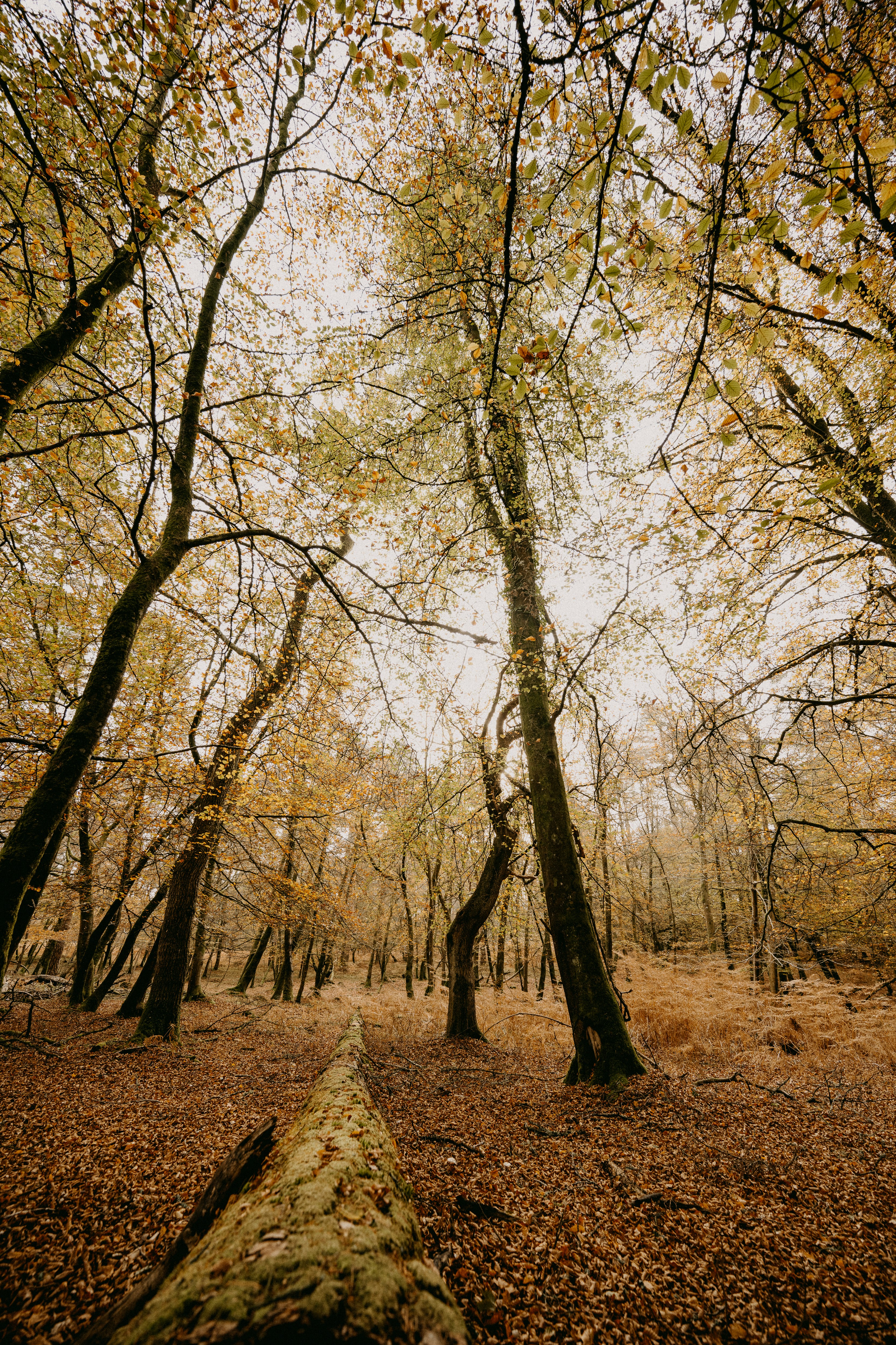 Photo by anniespratt