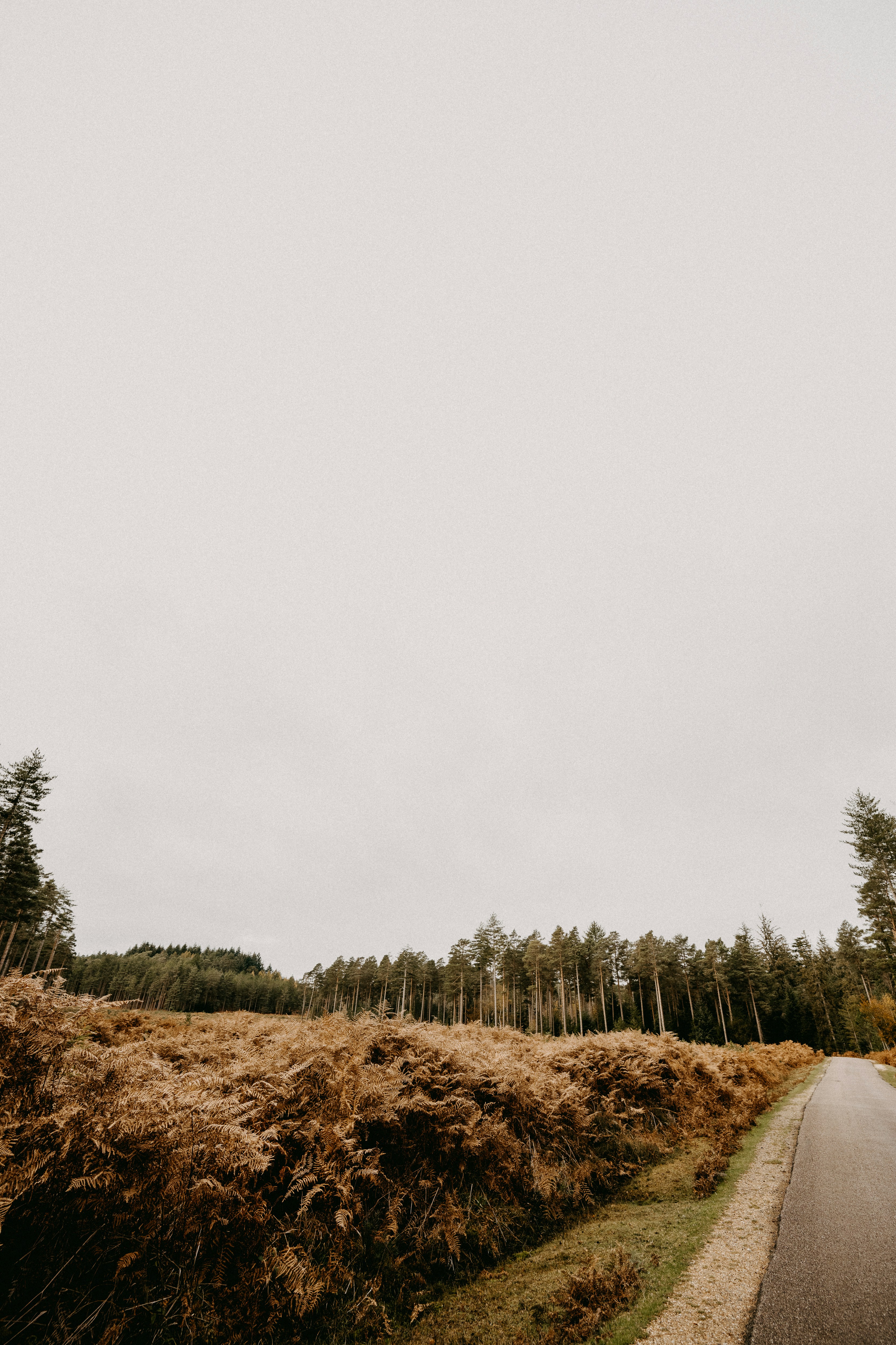 Photo by anniespratt