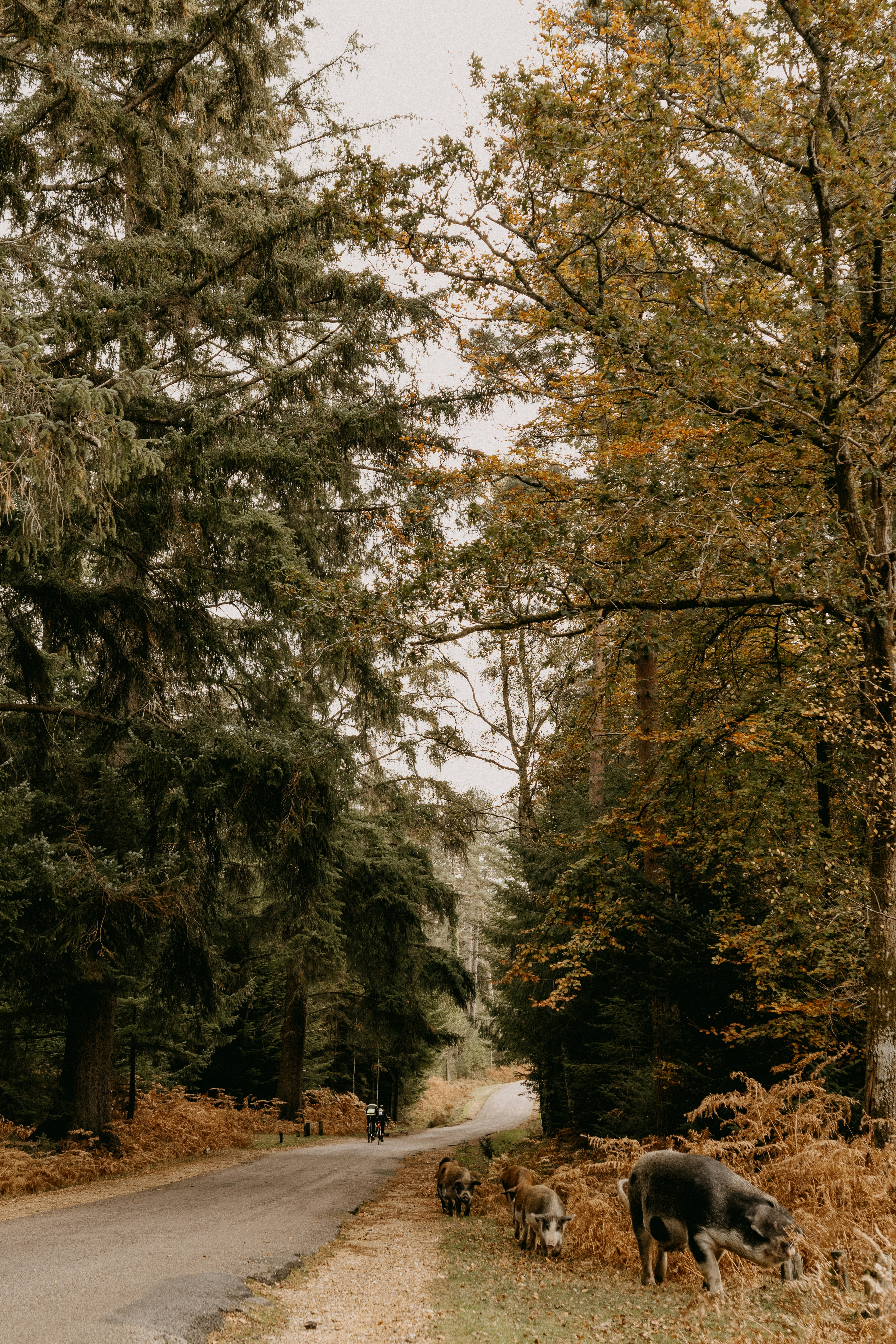 Photo by anniespratt