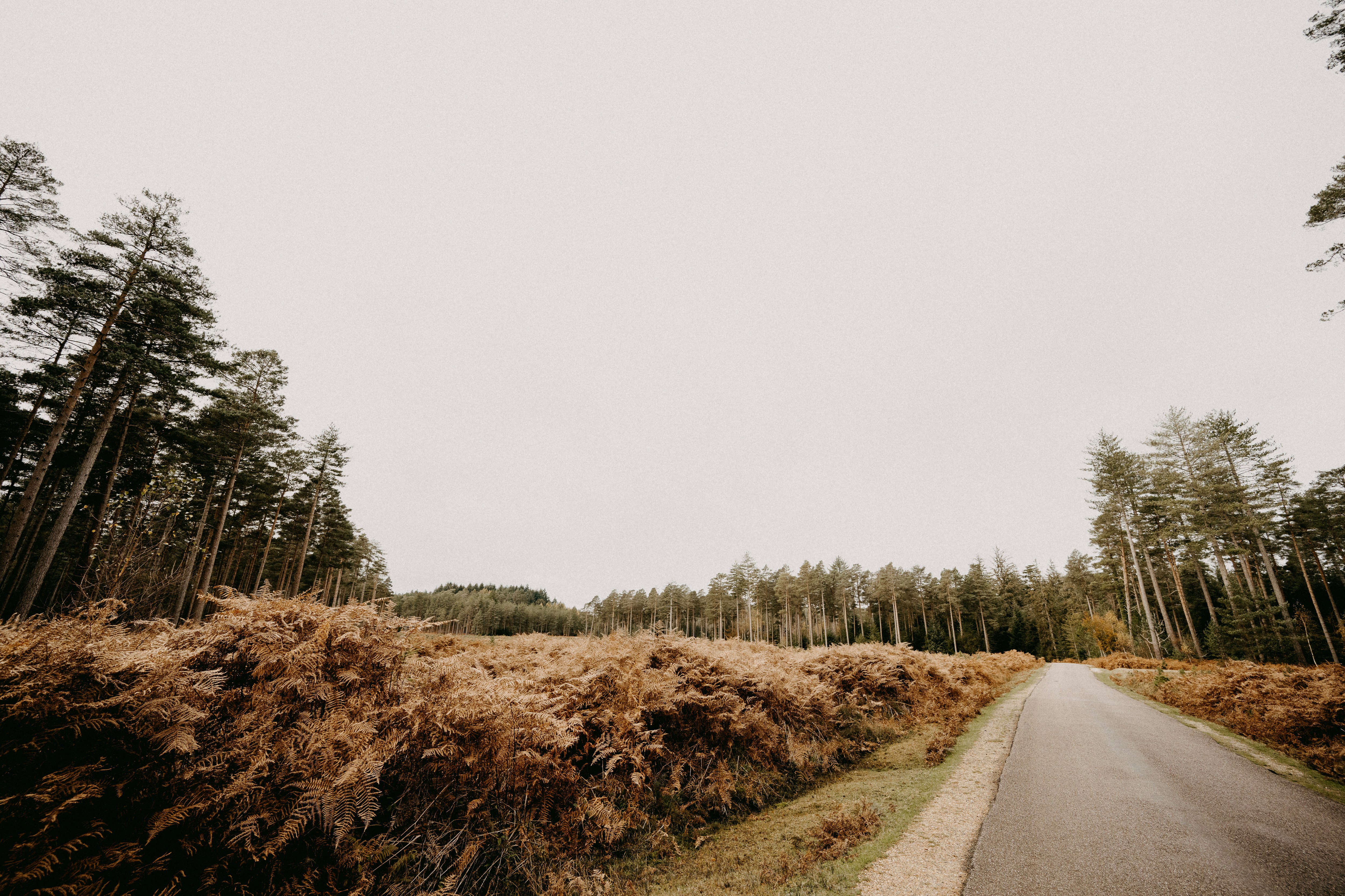 Photo by anniespratt