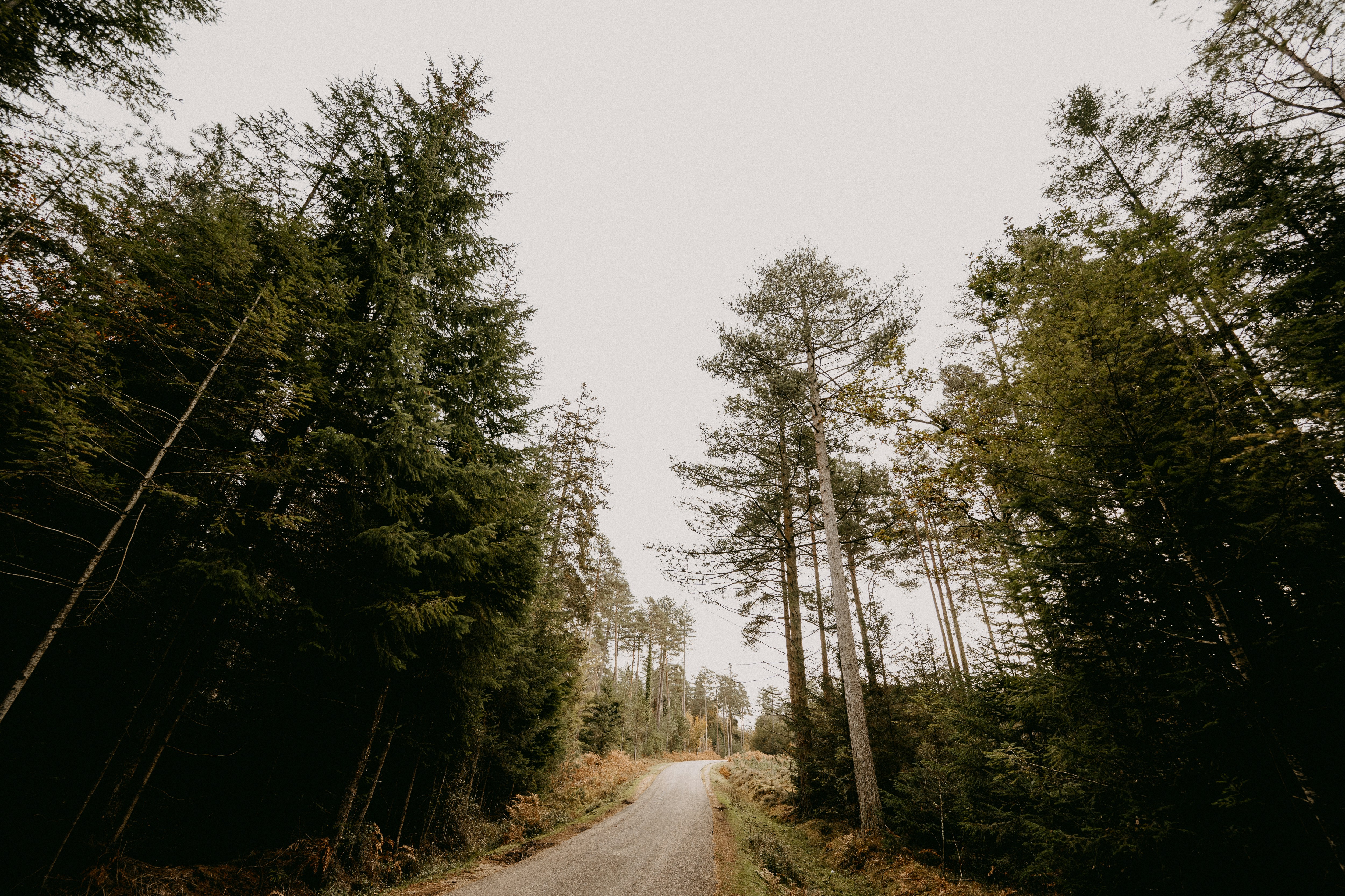 Photo by anniespratt